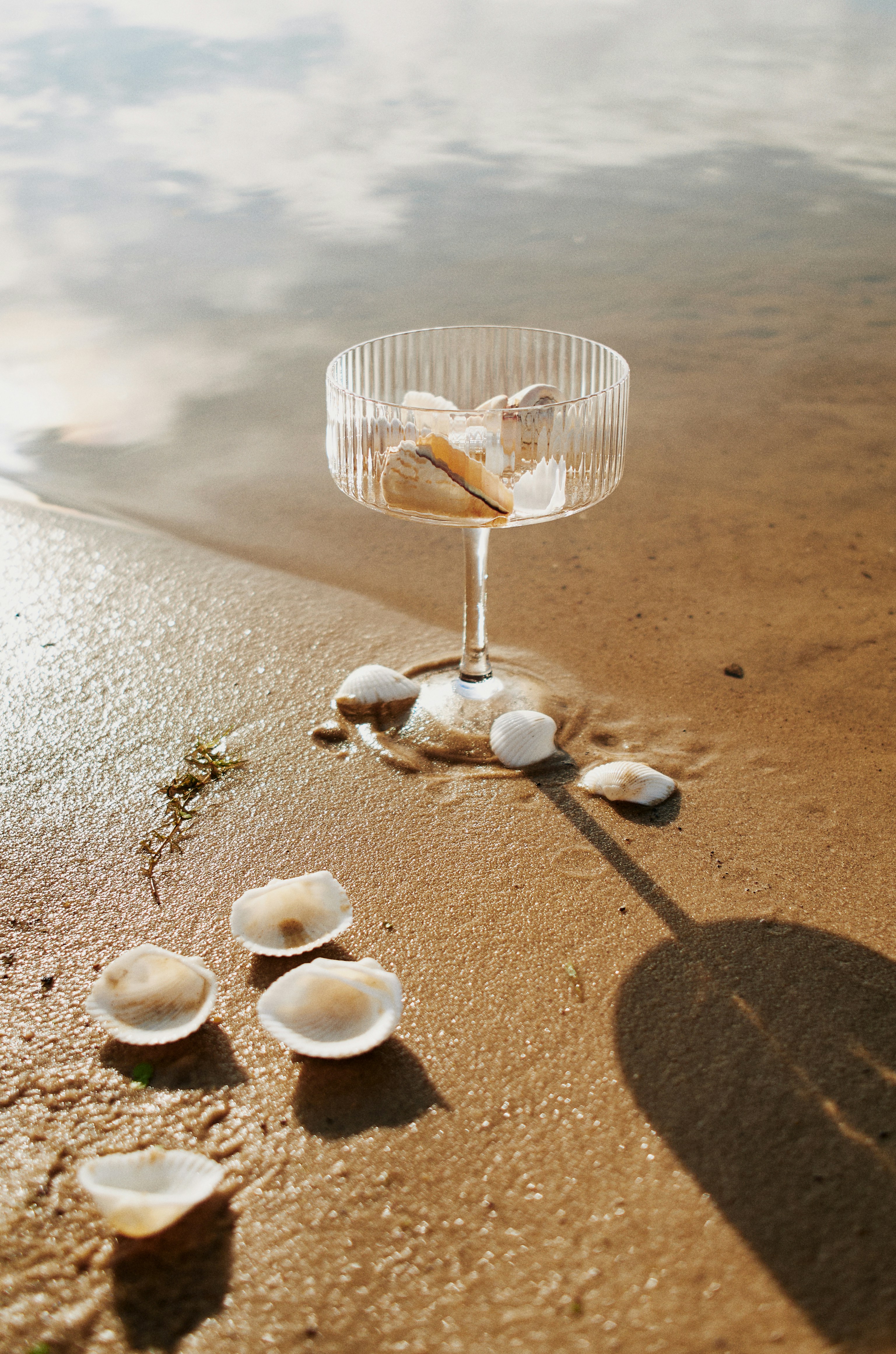 A glass of wine sitting on top of a sandy beach