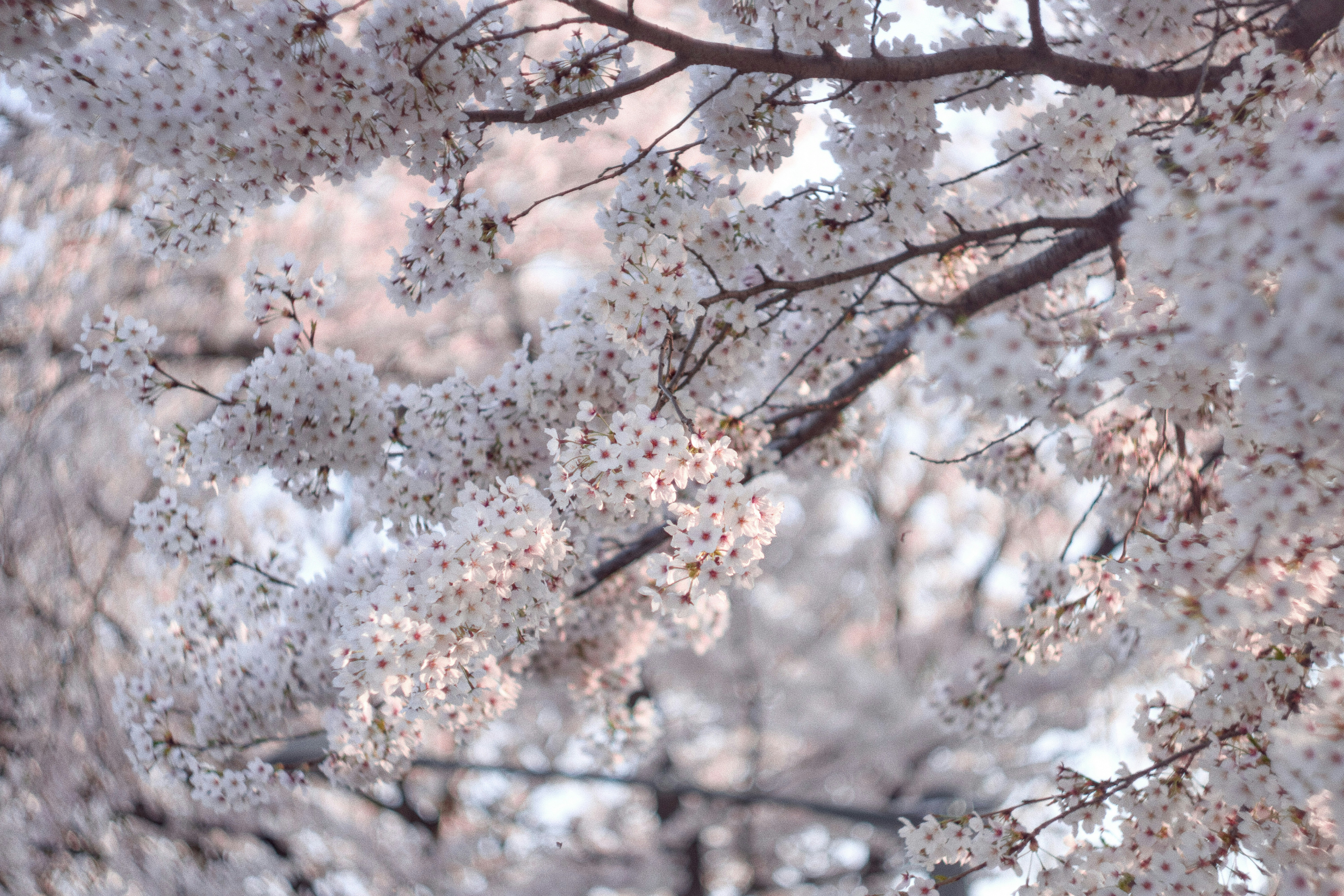 Photo by danilkinkin