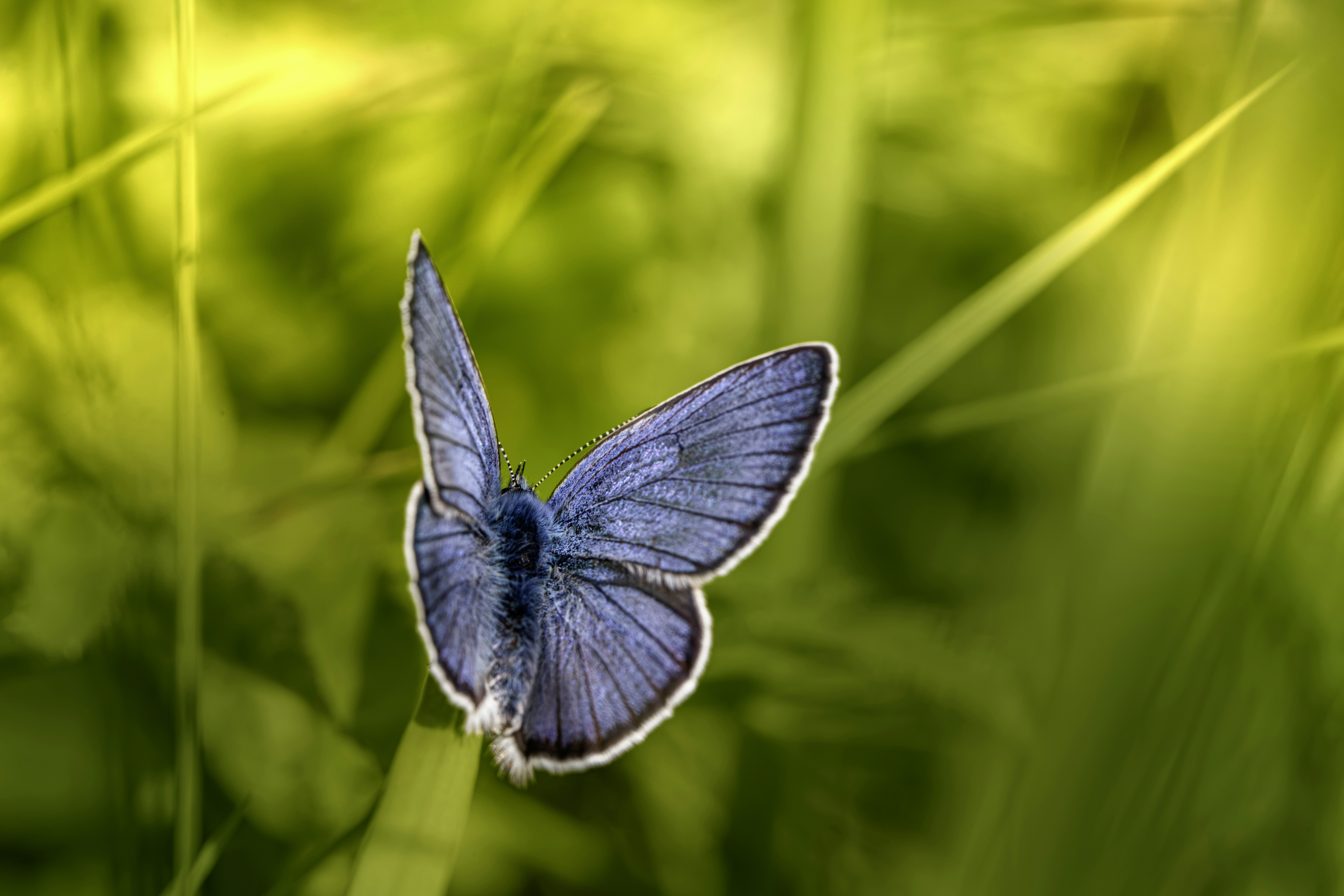 Photo by erik_karits