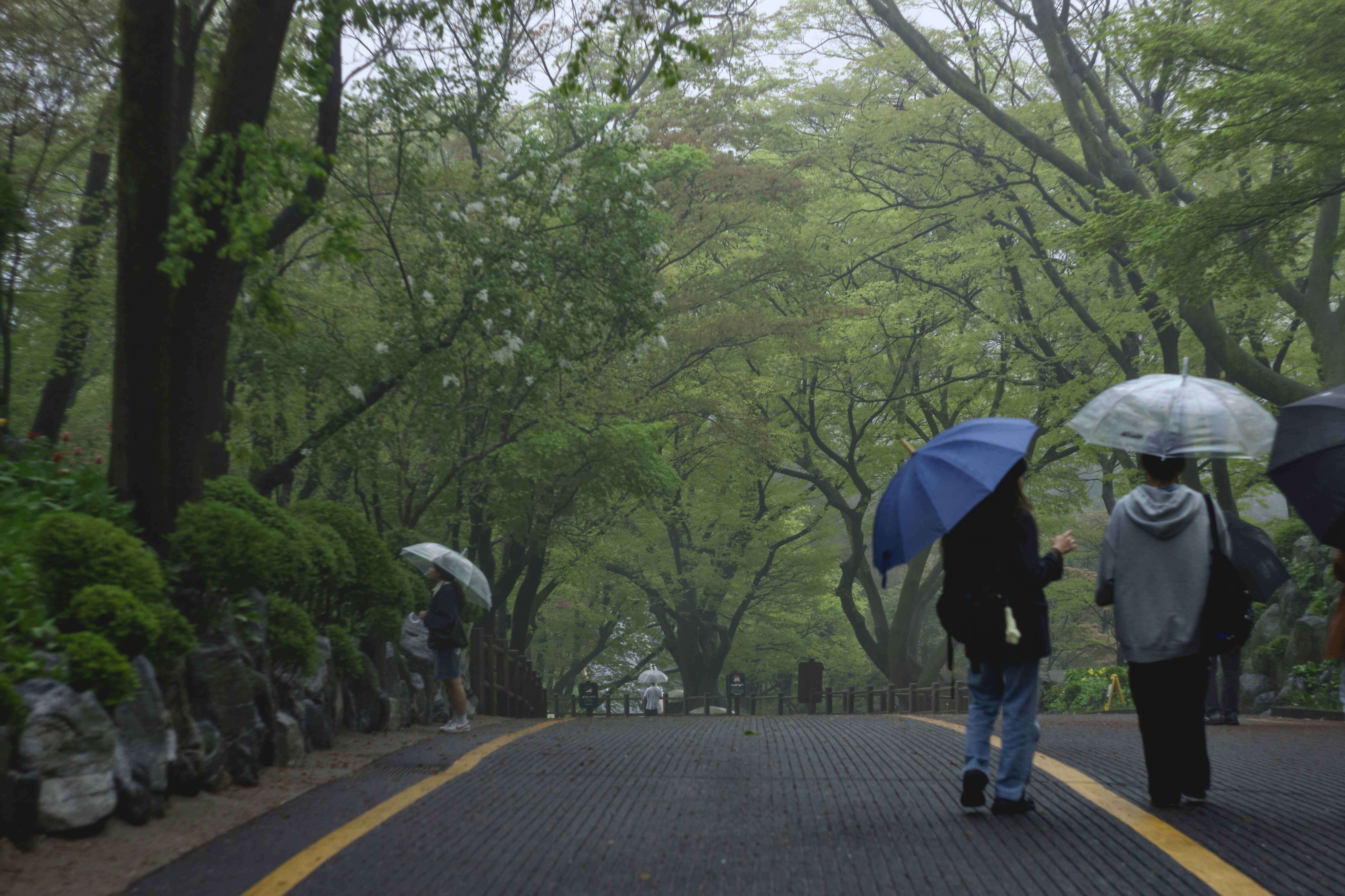 Photo by danilkinkin