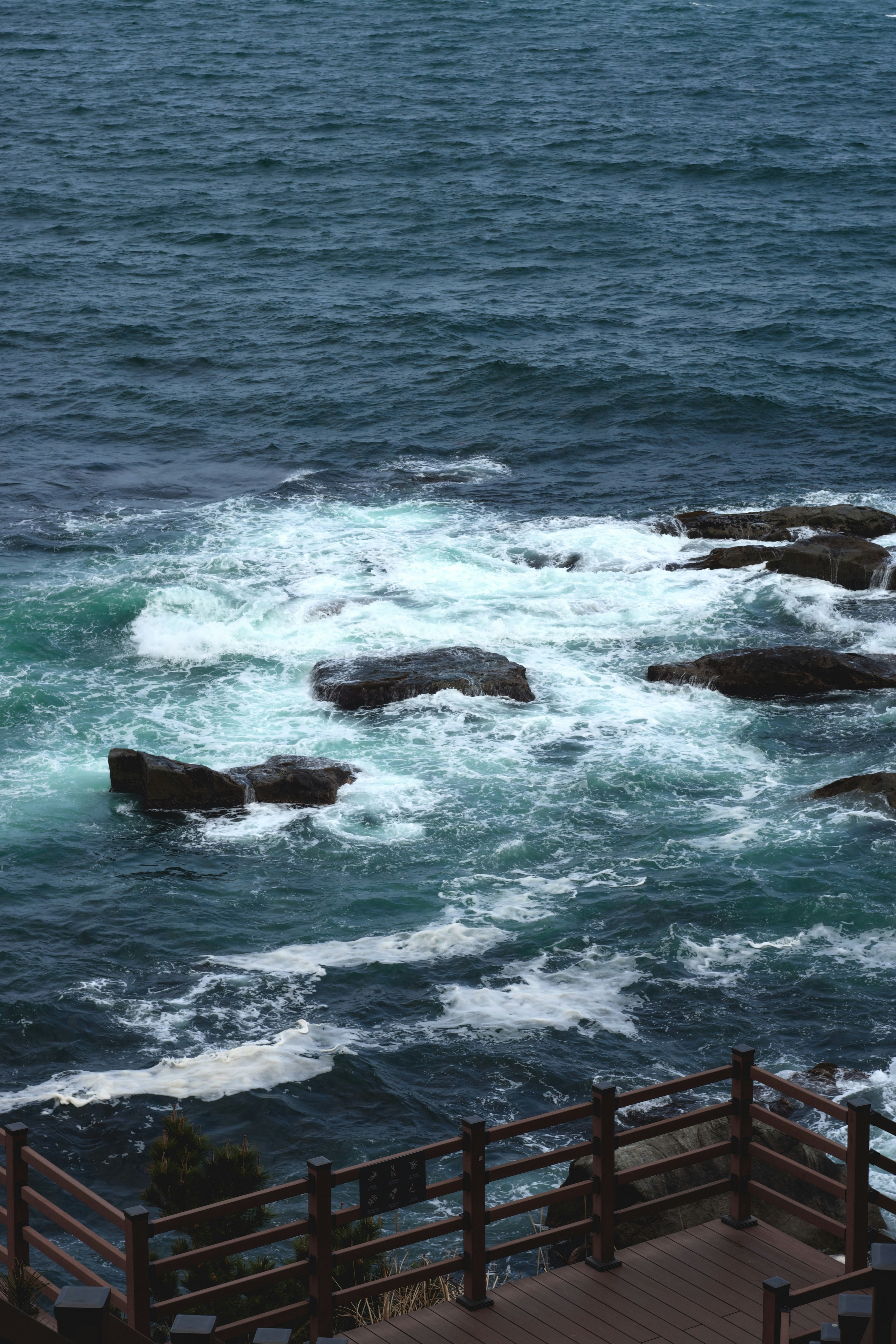 Photo by danilkinkin