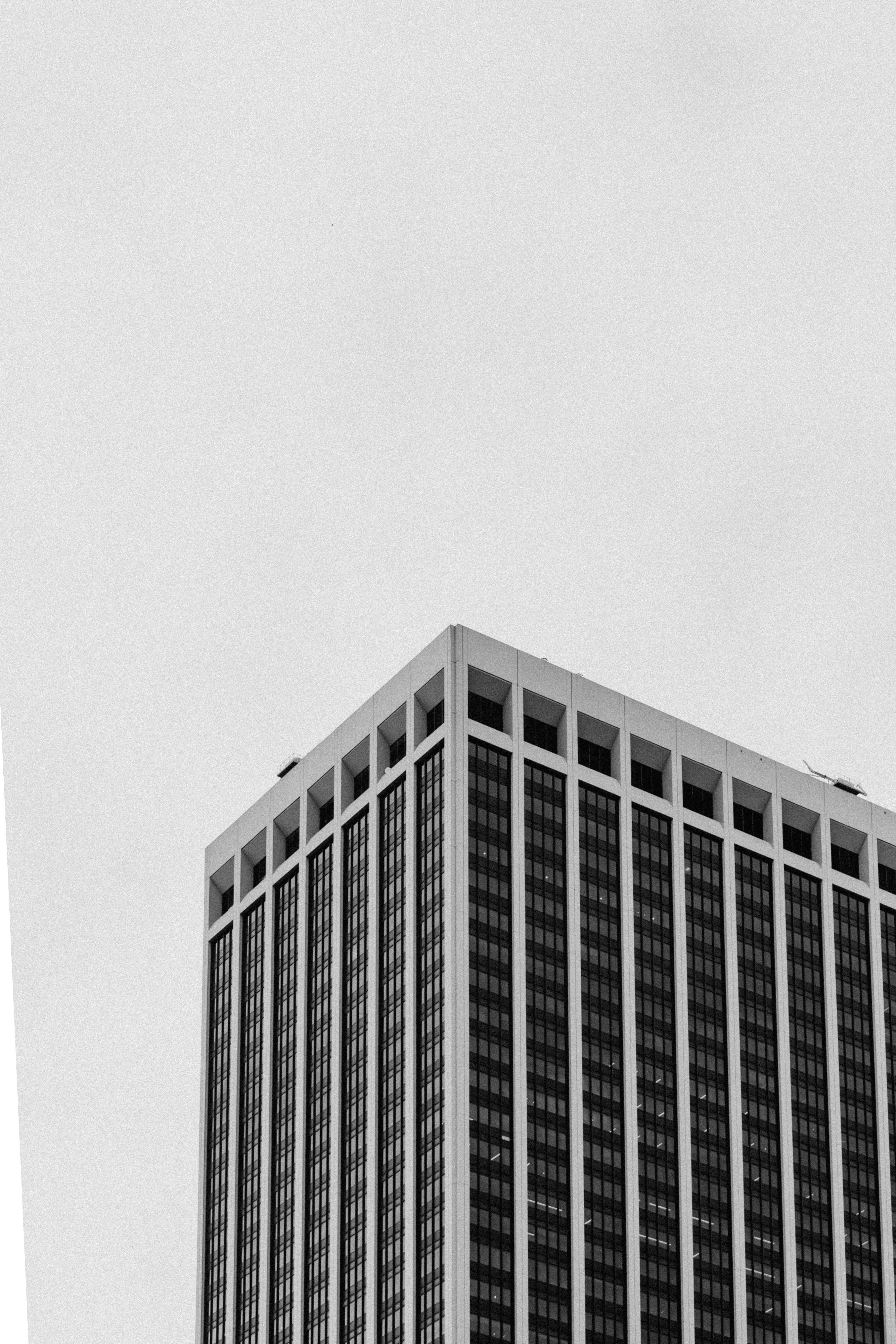 Photo by viktoriiayuskevych