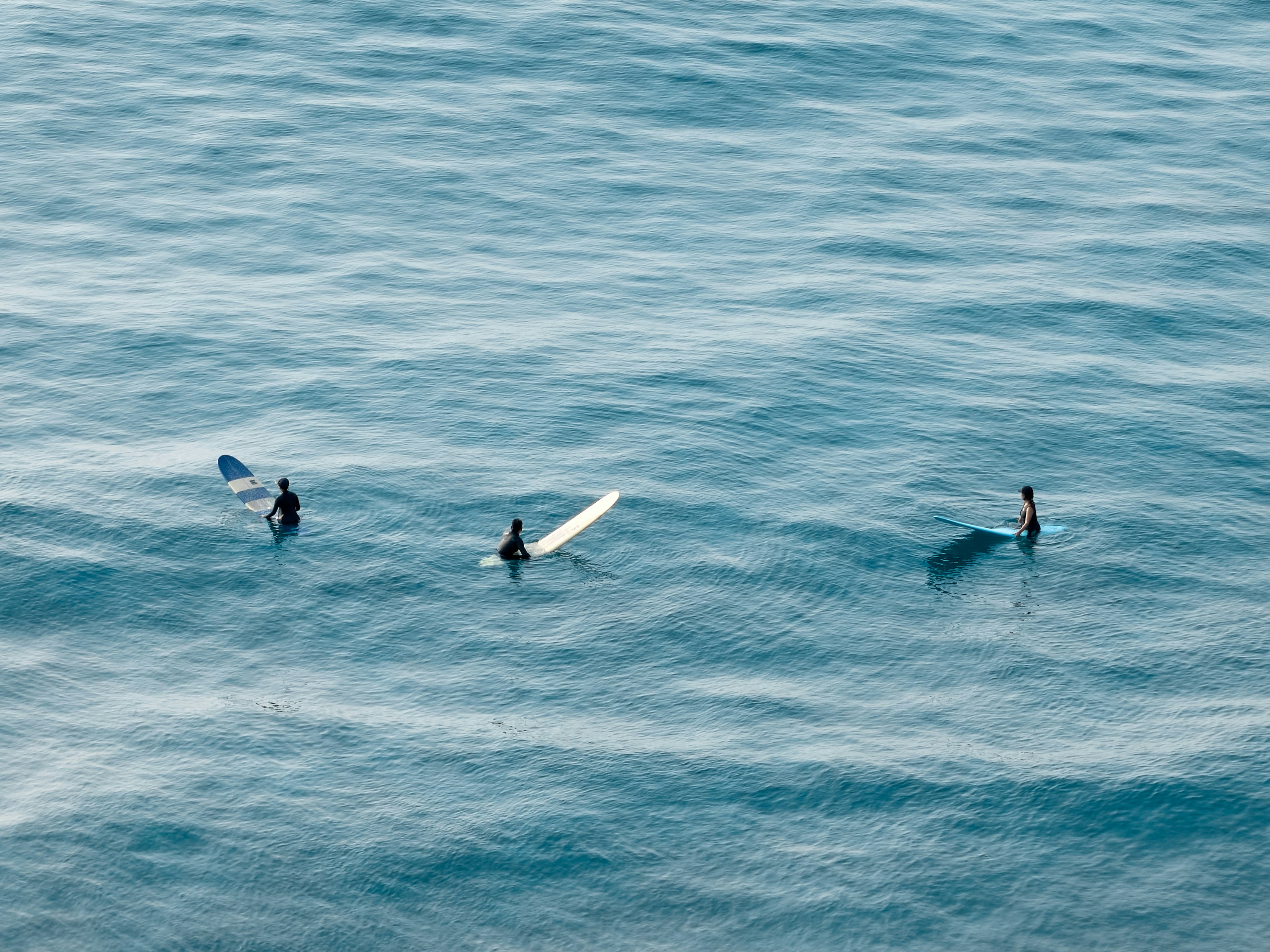 Family-Specific Hunting Traditions (image credits: unsplash)