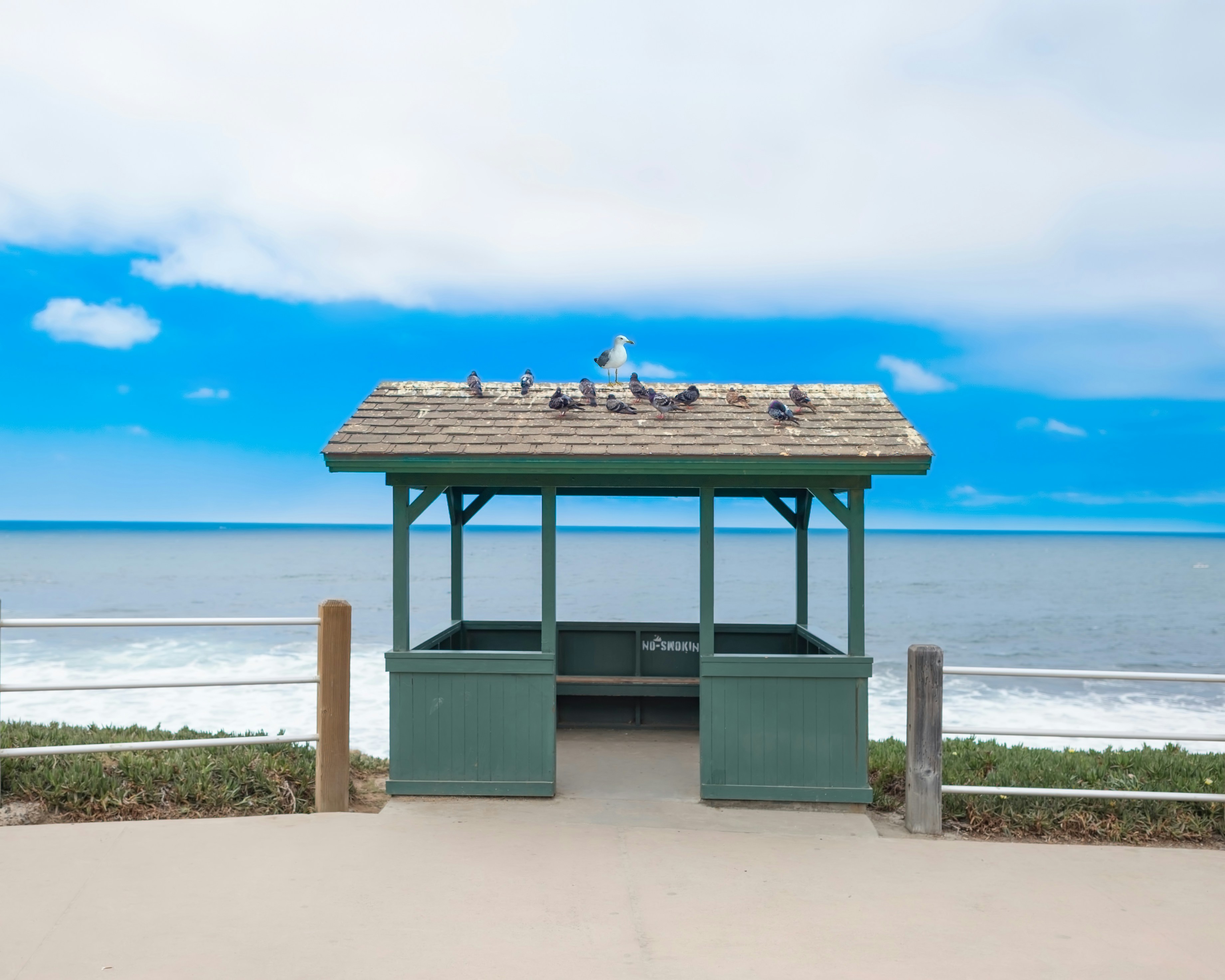 A gazebo with seagulls sitting on top of it