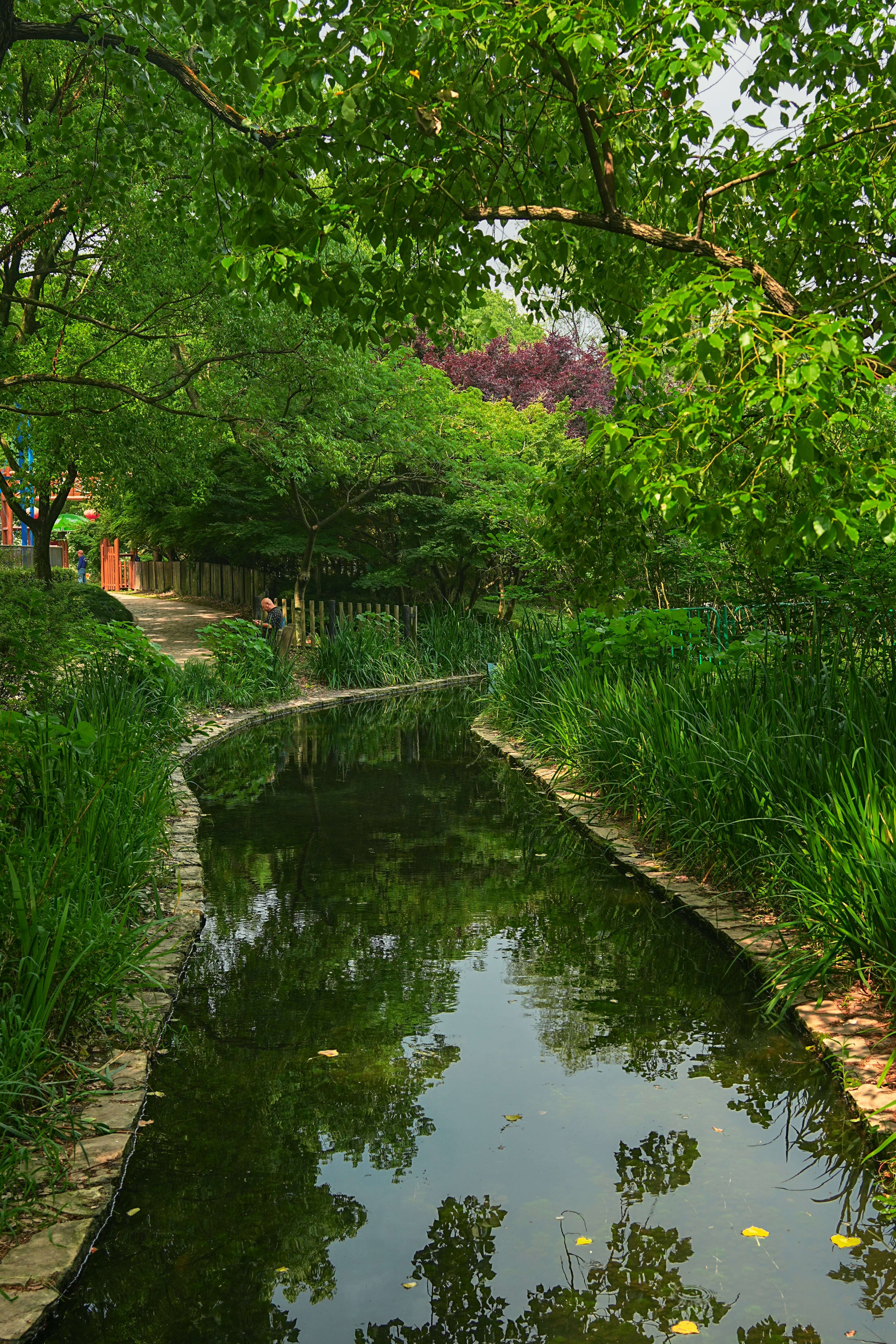 Photo by hattrick1996