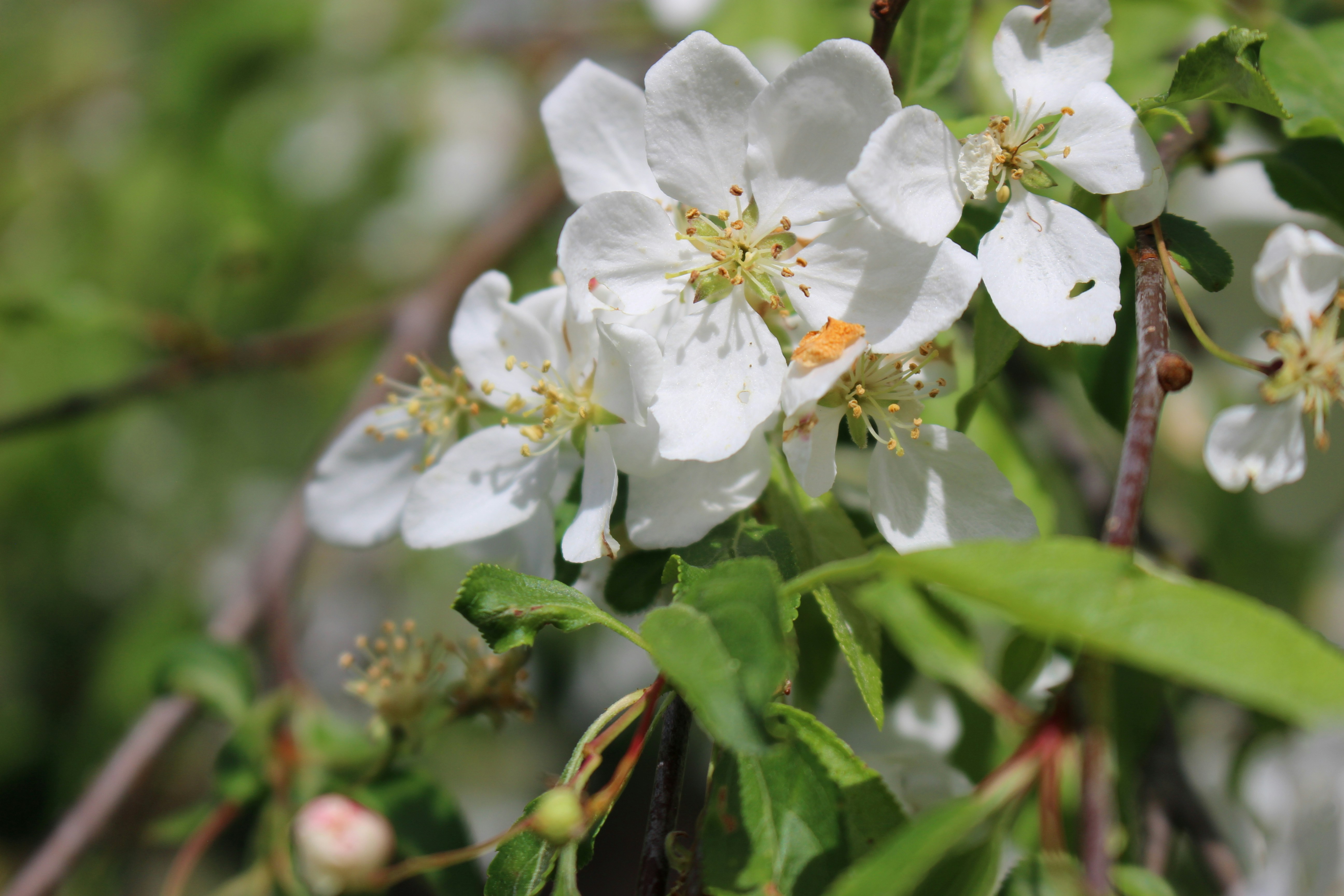 Photo by teagancross