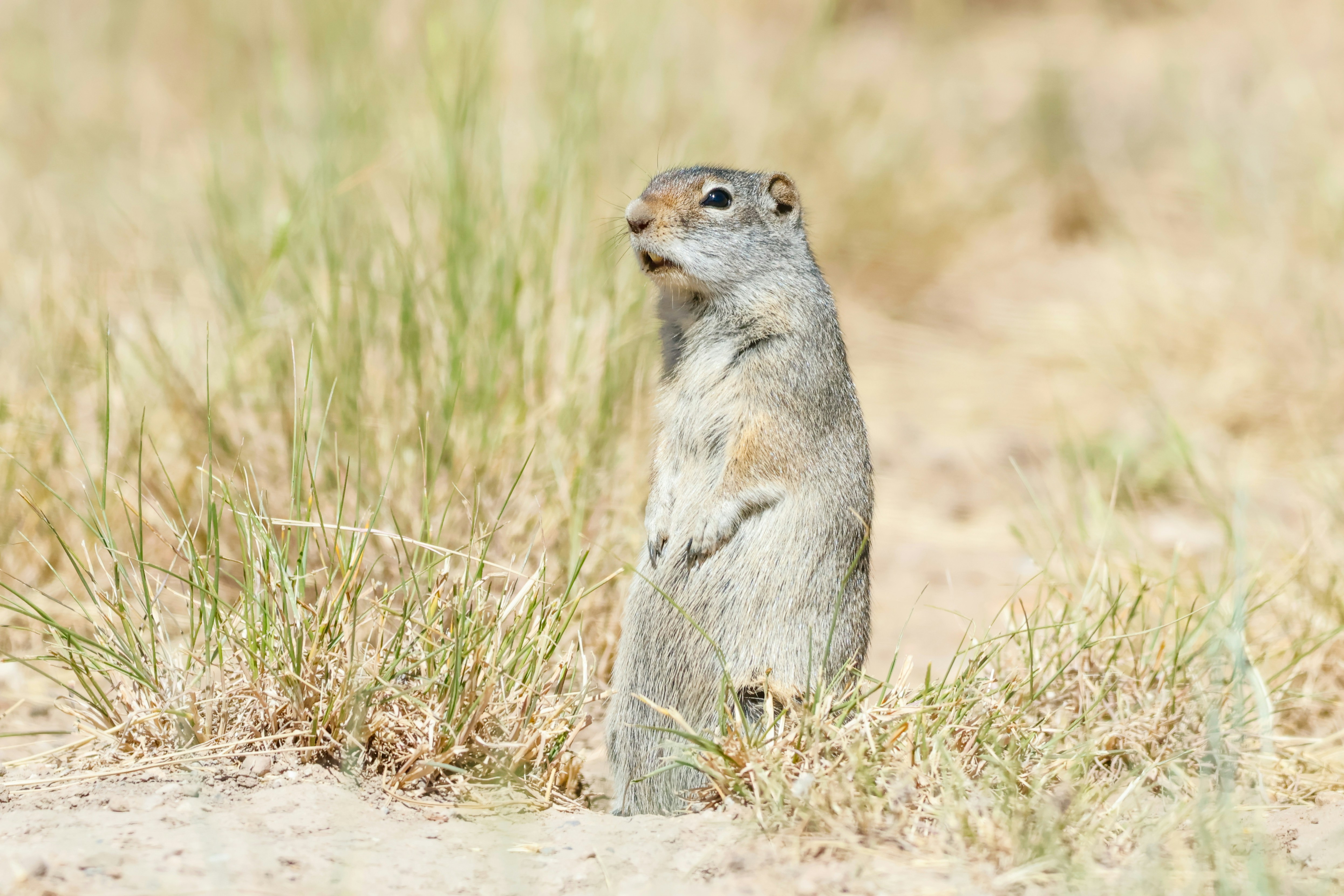 Photo by naturelensephotographer