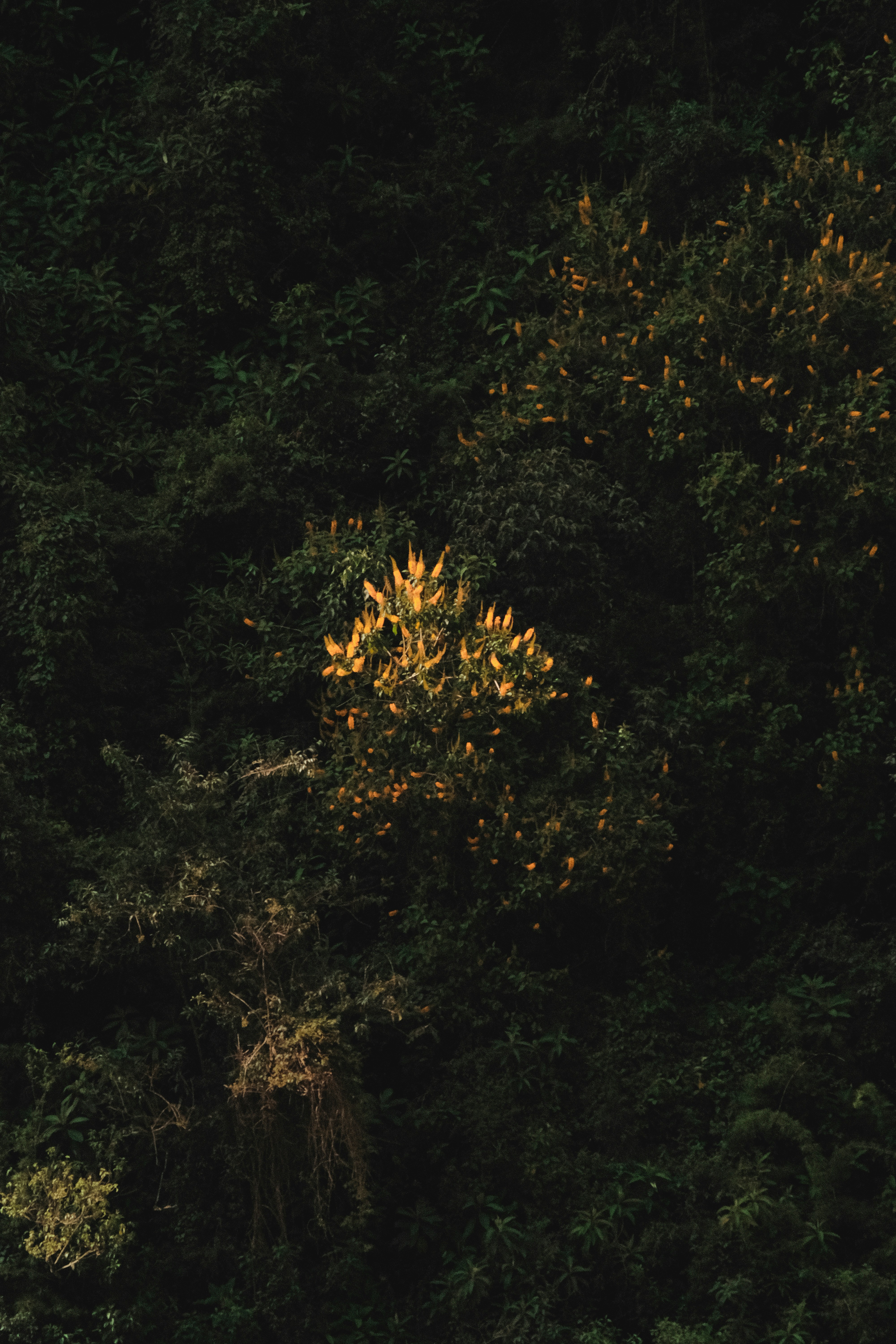 Photo by joseignaciopompe