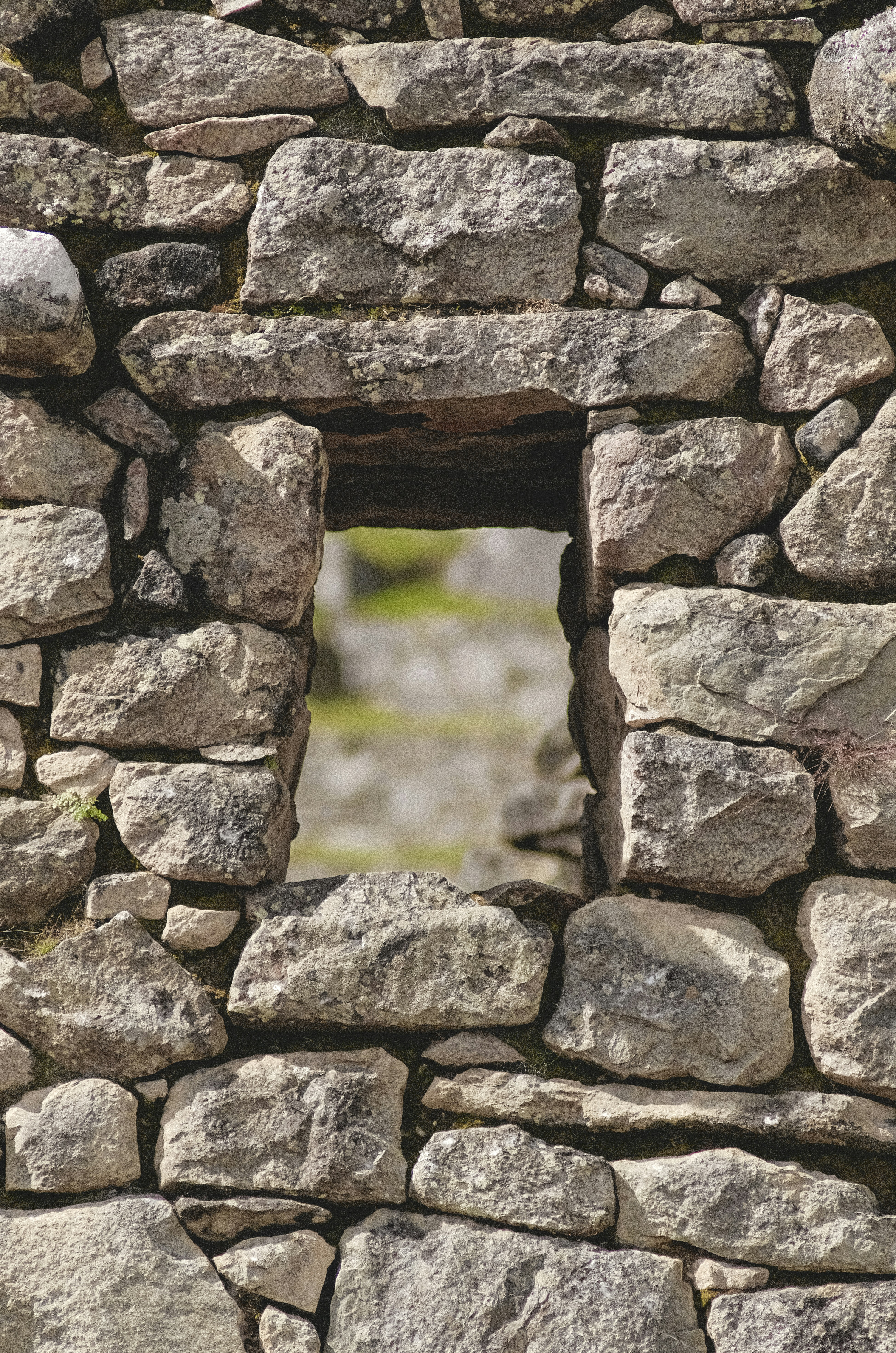 Photo by joseignaciopompe