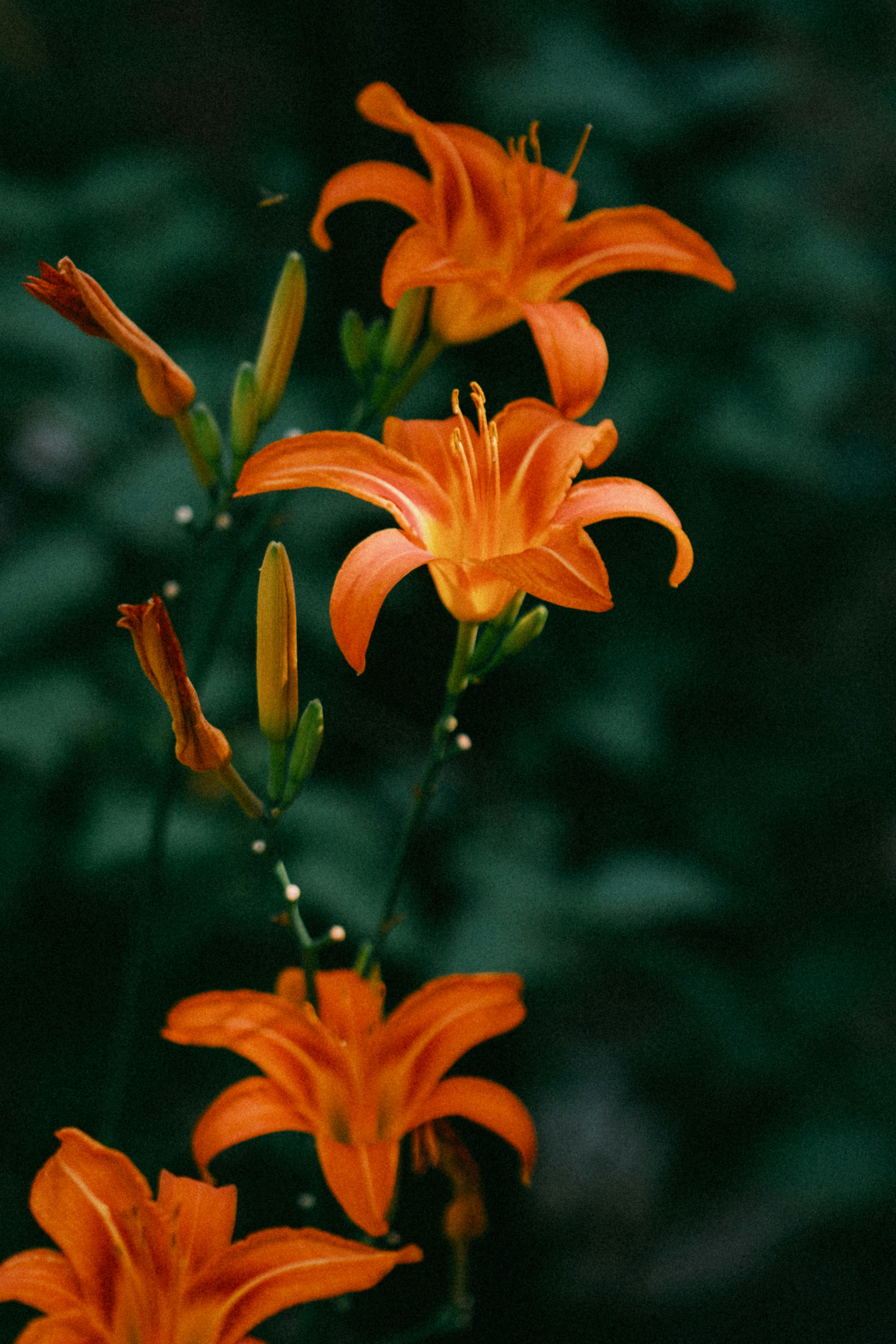 Photo by marsupialpudding