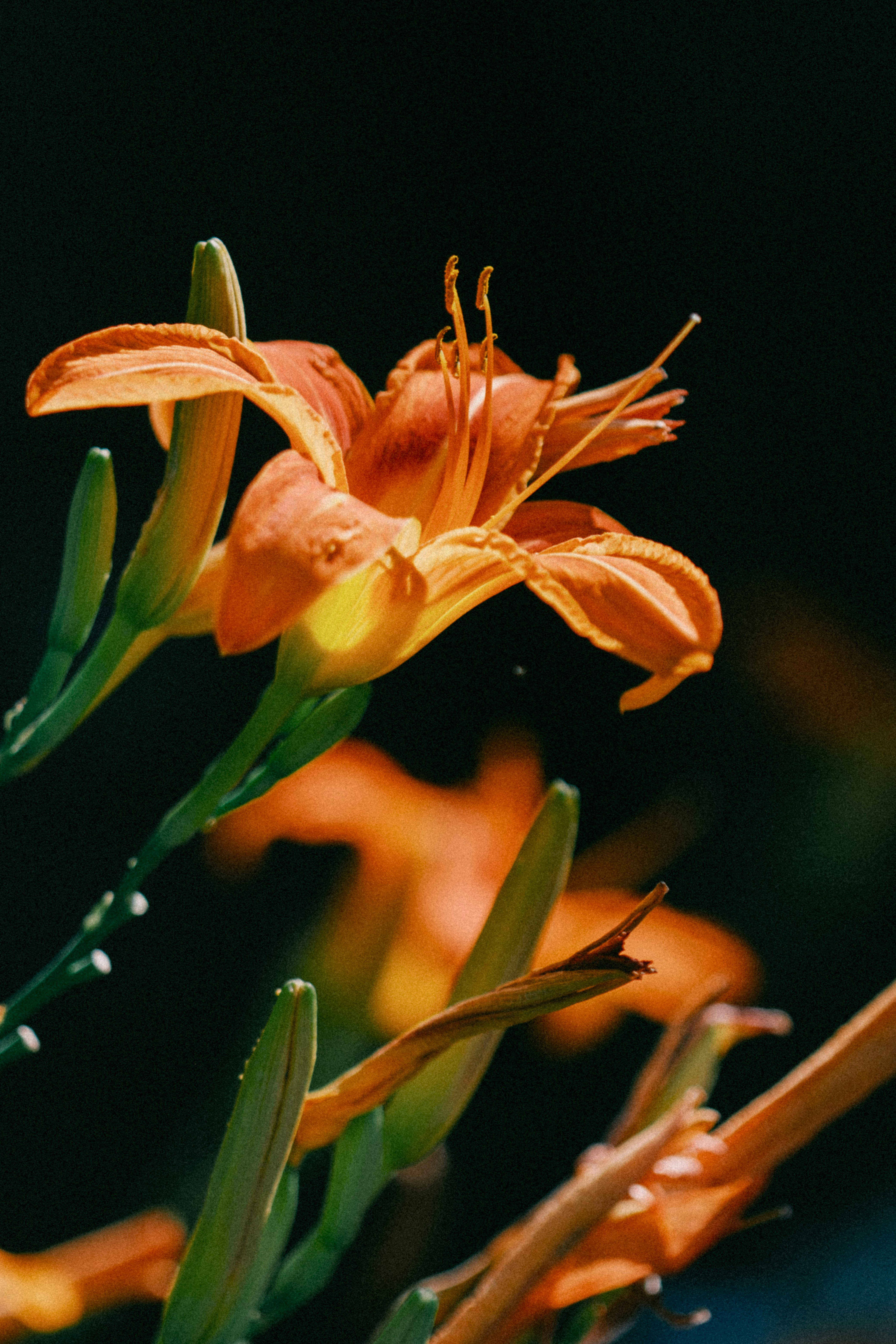 Photo by marsupialpudding