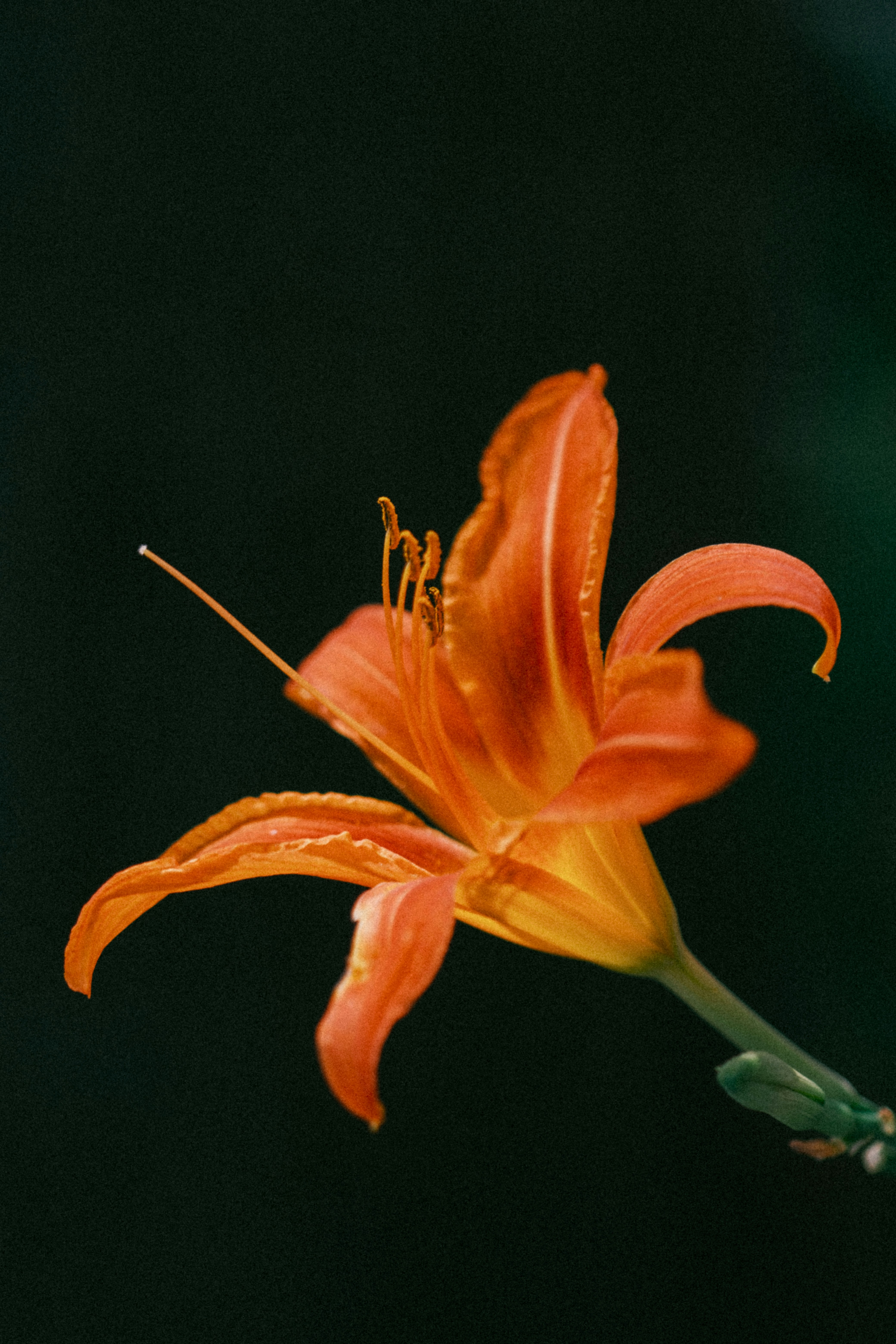 Photo by marsupialpudding