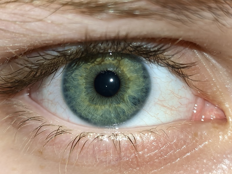 Horioretinitis i Zapaljenski Procesi u Retini: Simptomi, Dijagnoza i Najefikasniji Metodi Lečenja