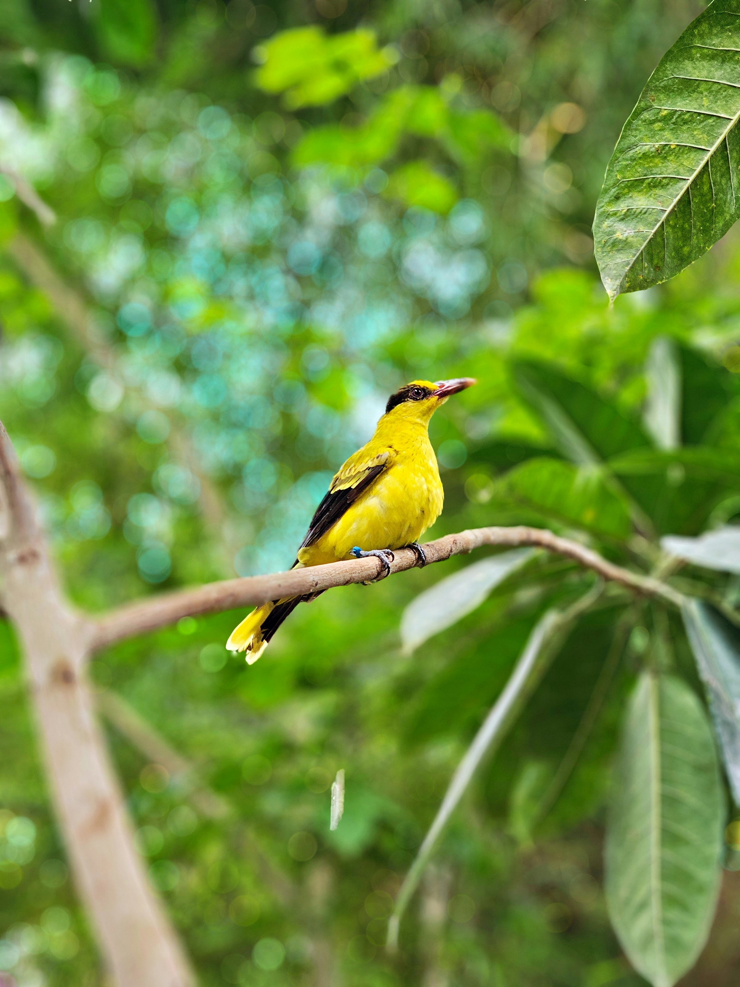 Photo by engr_miiing