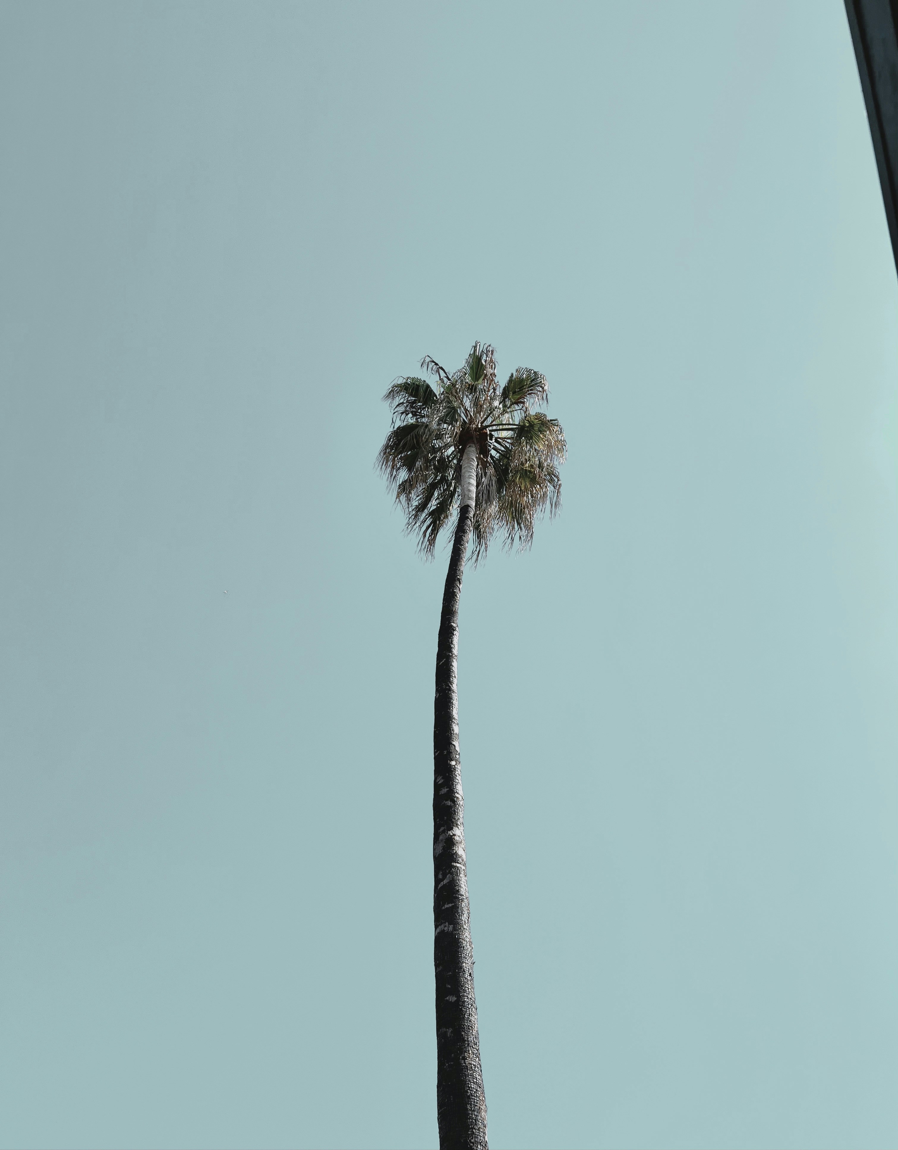 Photo by trent171717