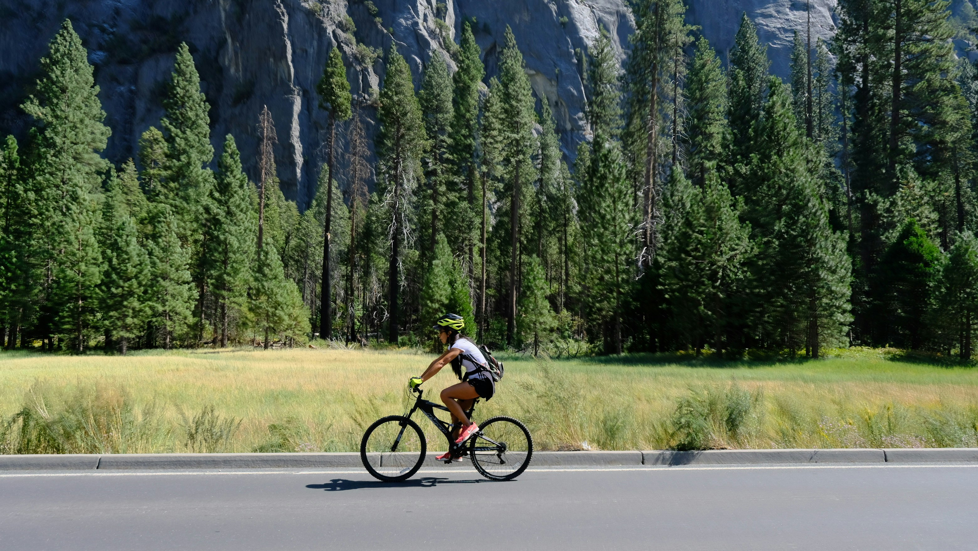 A man riding a bike down a road next to a forest