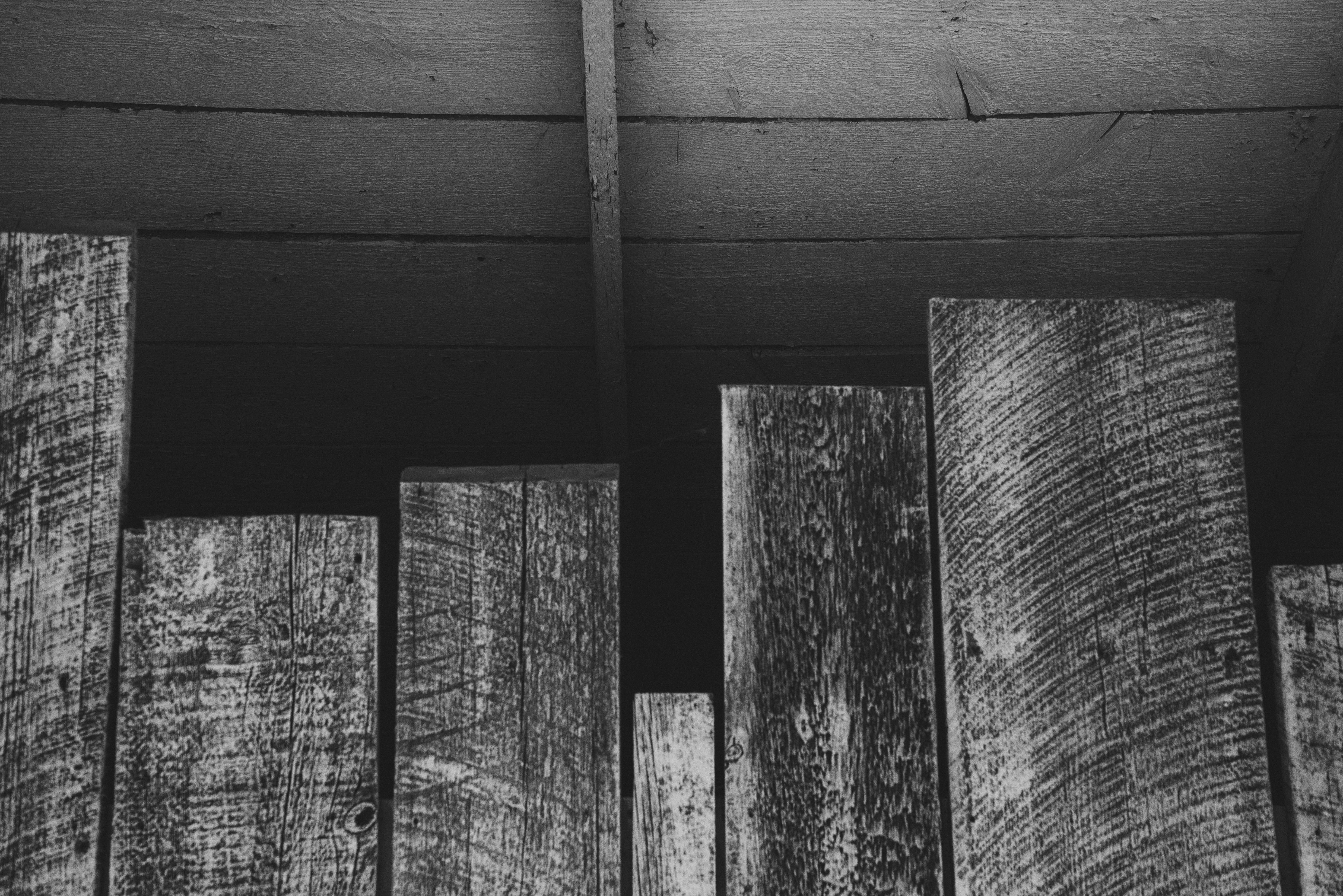 Photo by mary_schultz