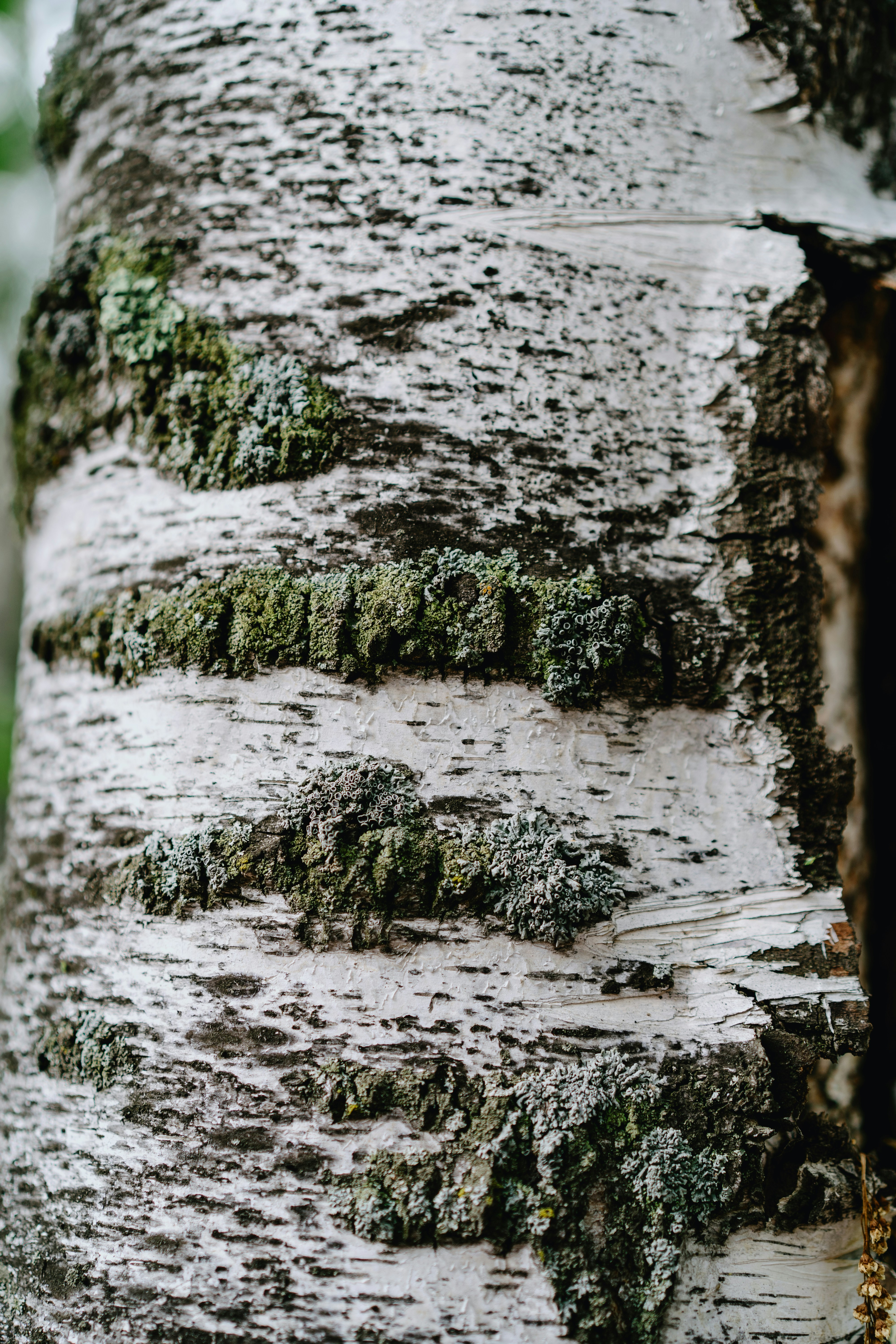 Photo by anamnesis33