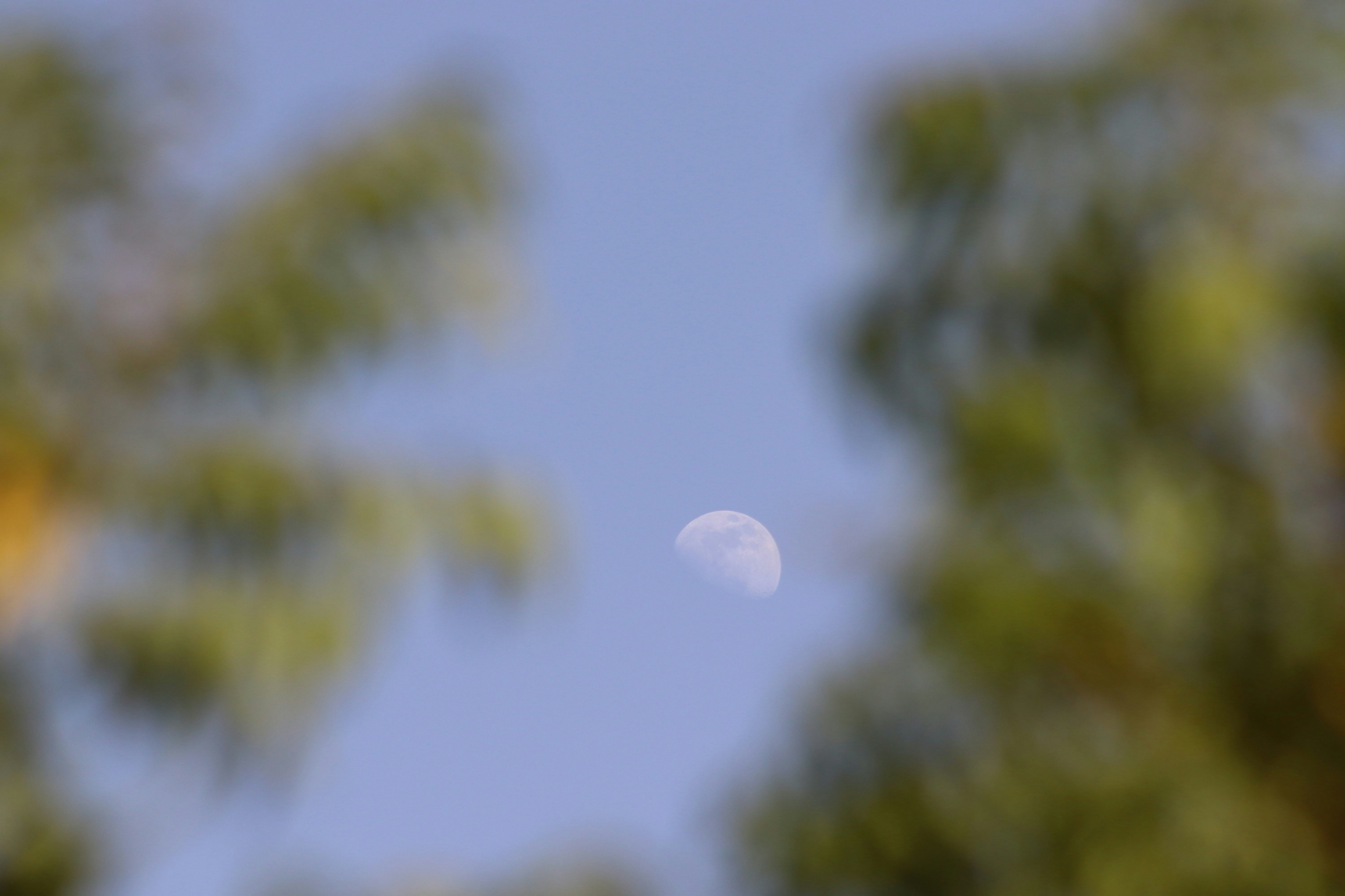 Photo by drphotographer152