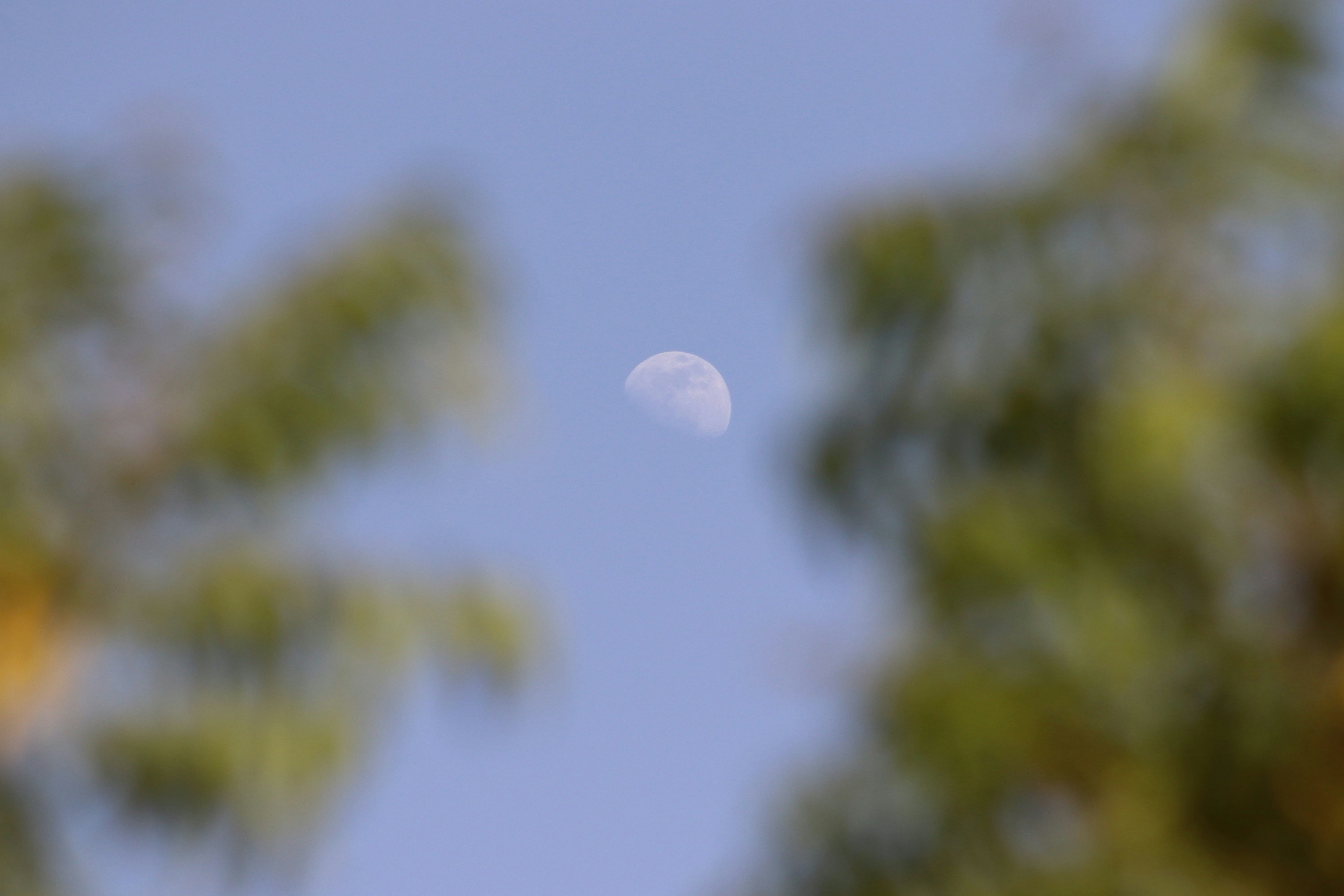 Photo by drphotographer152