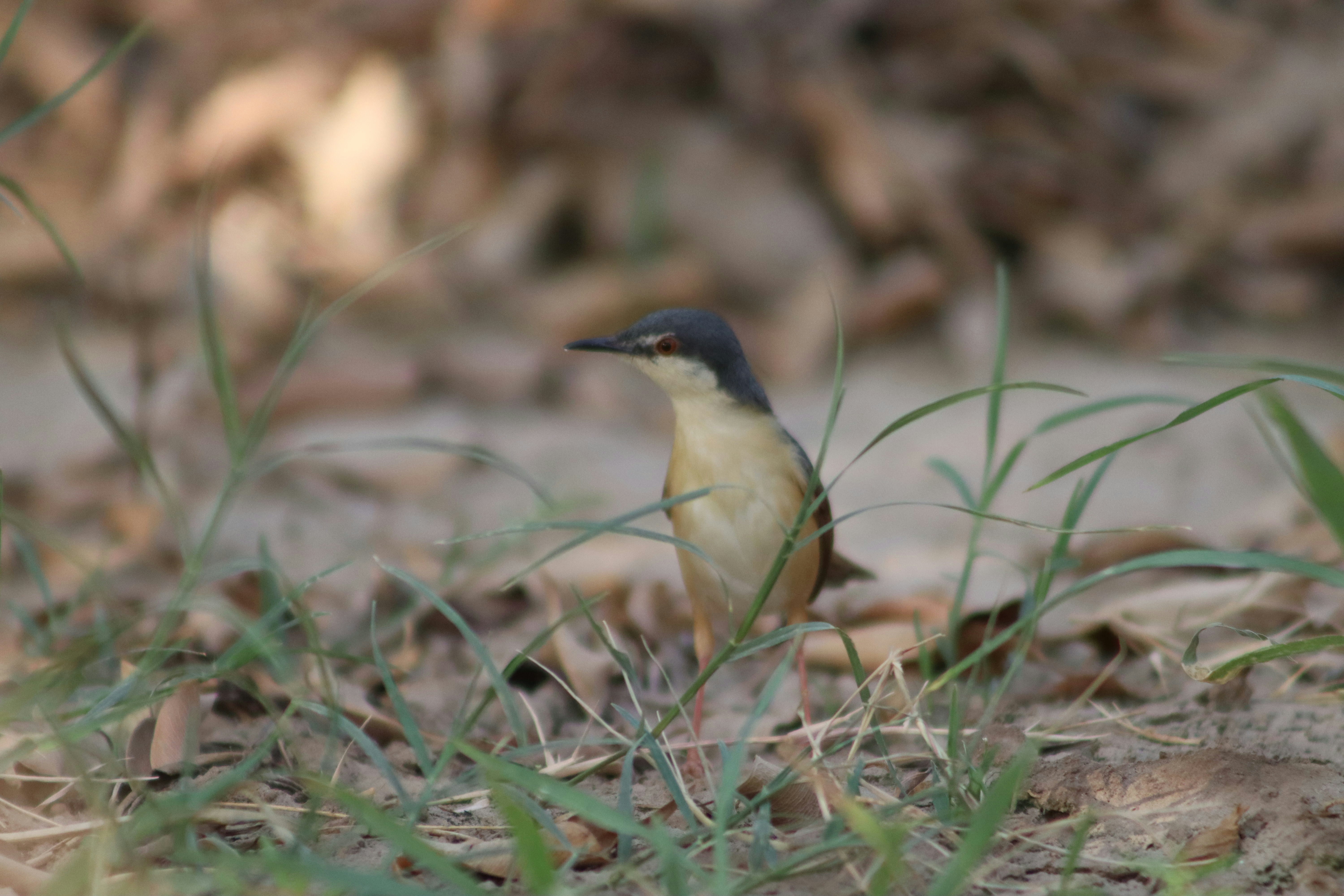 Photo by drphotographer152