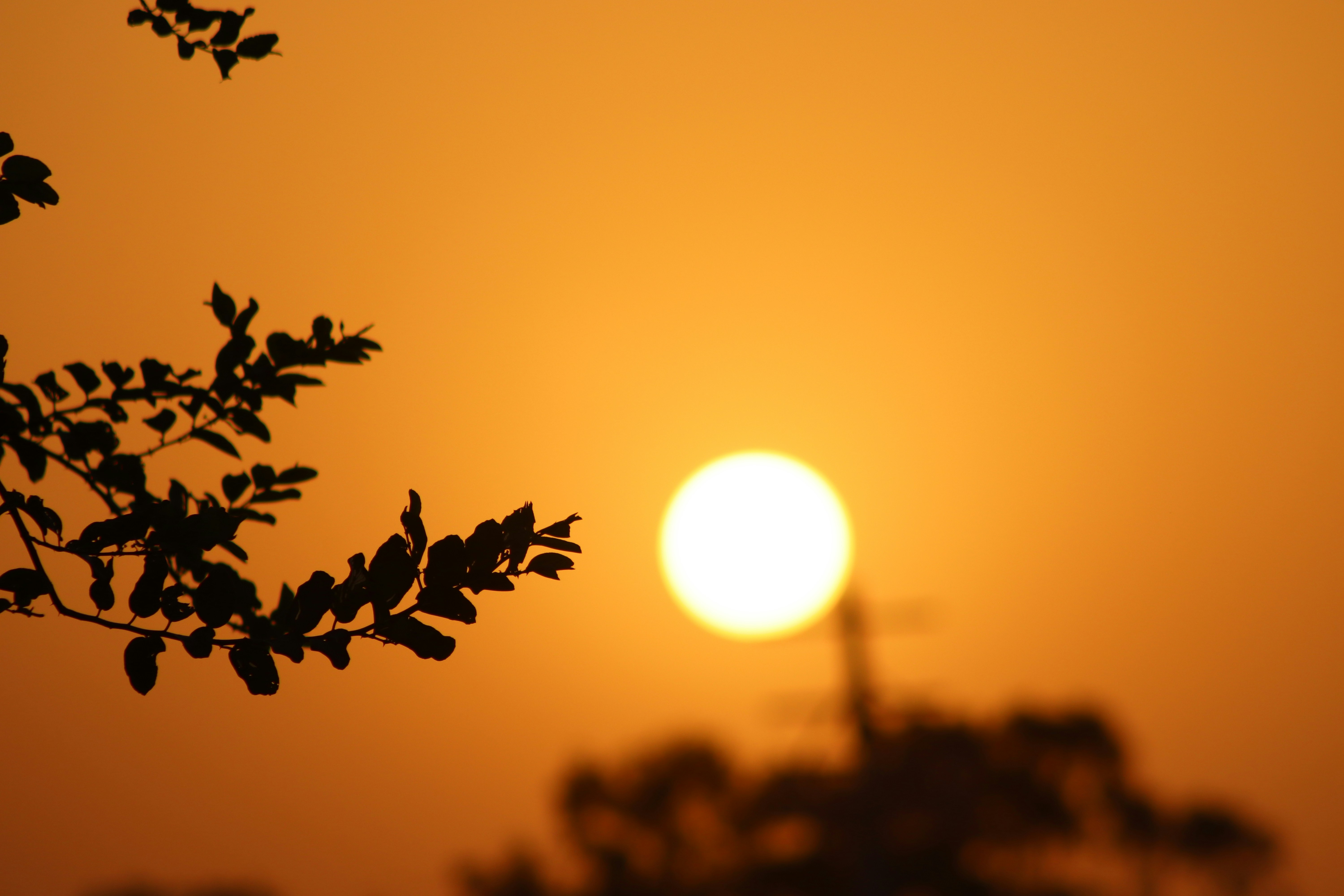 Photo by drphotographer152