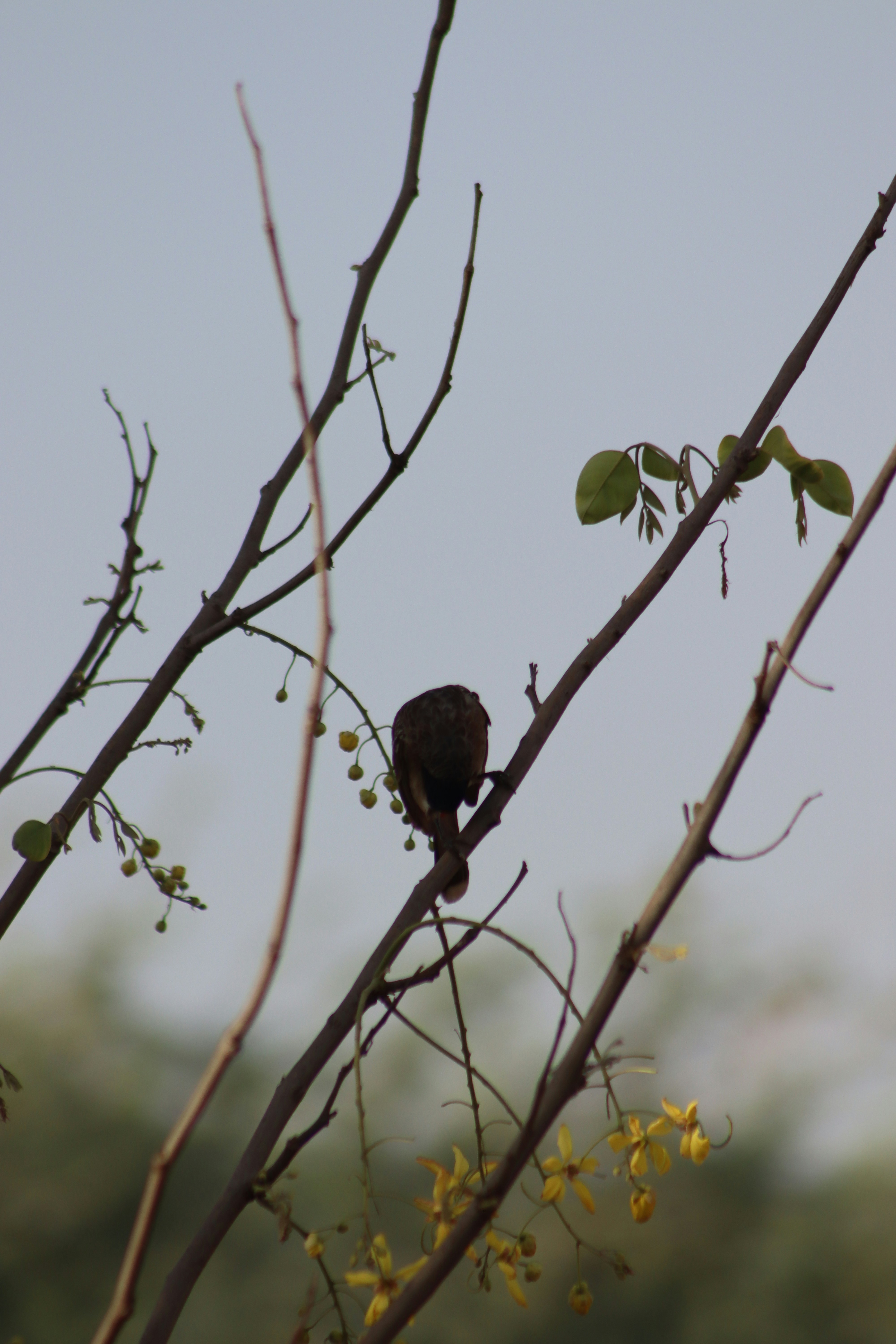 Photo by drphotographer152