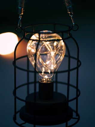 A light bulb that is inside of a cage