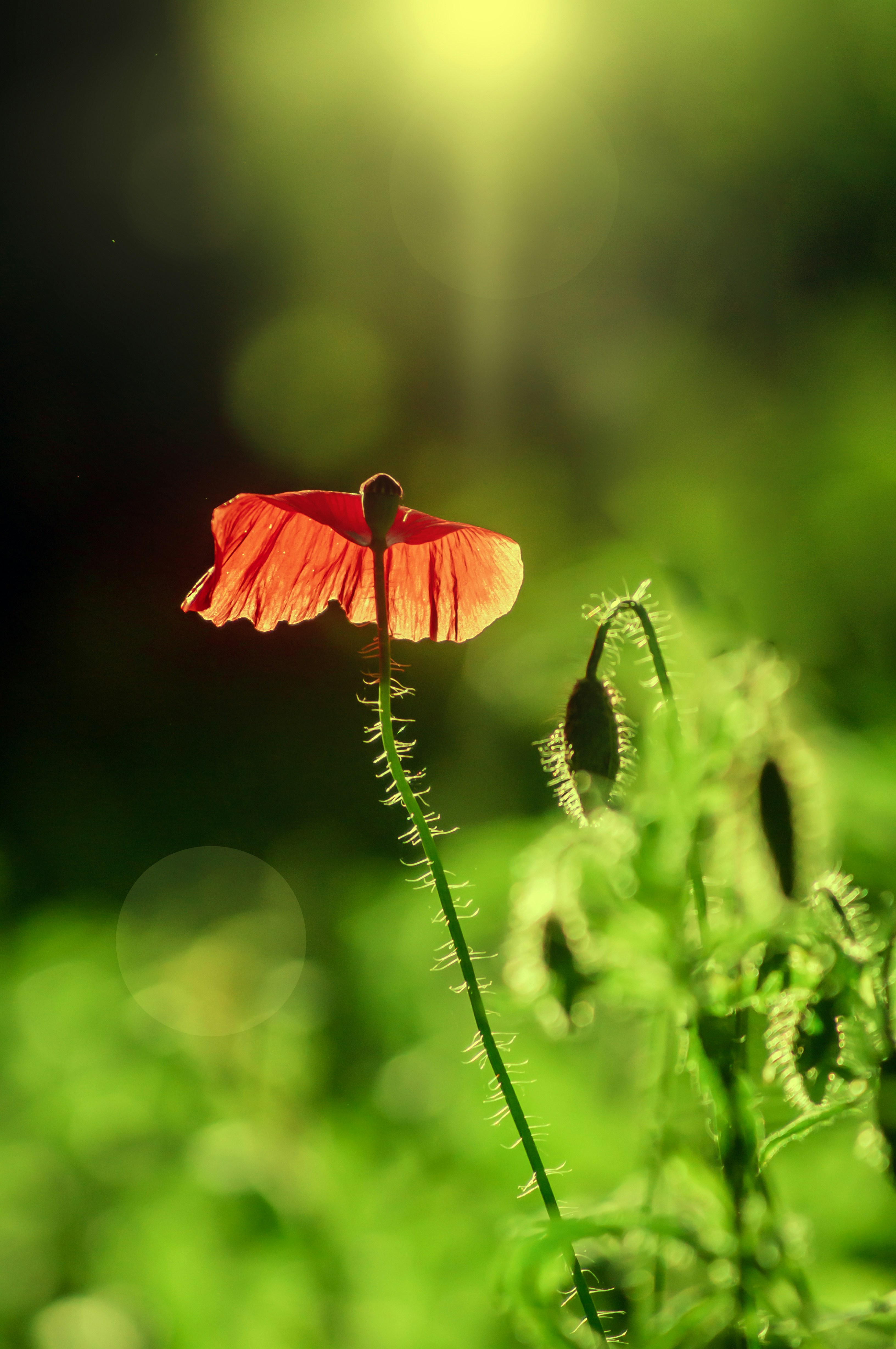 Photo by sicunov