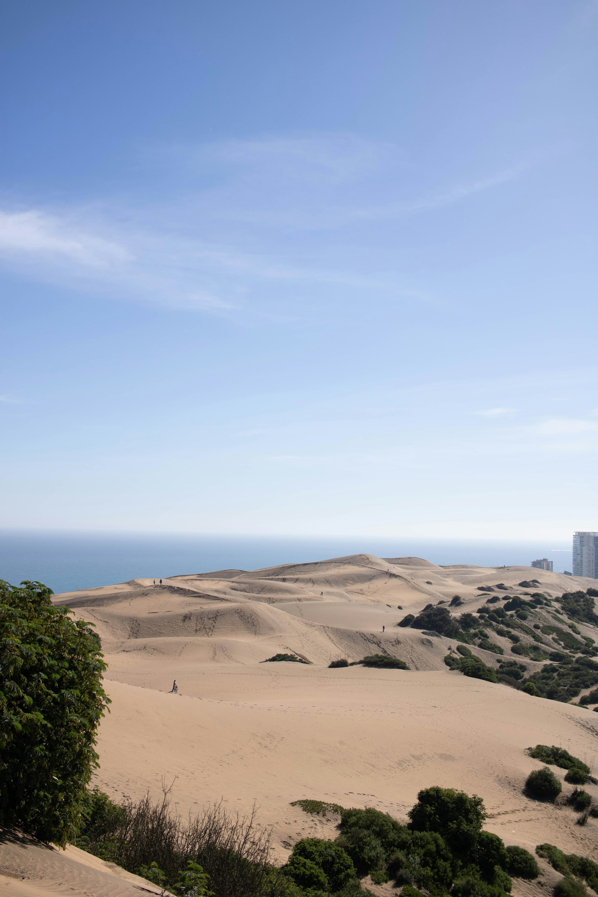 A view of the ocean from the top of a sand dune