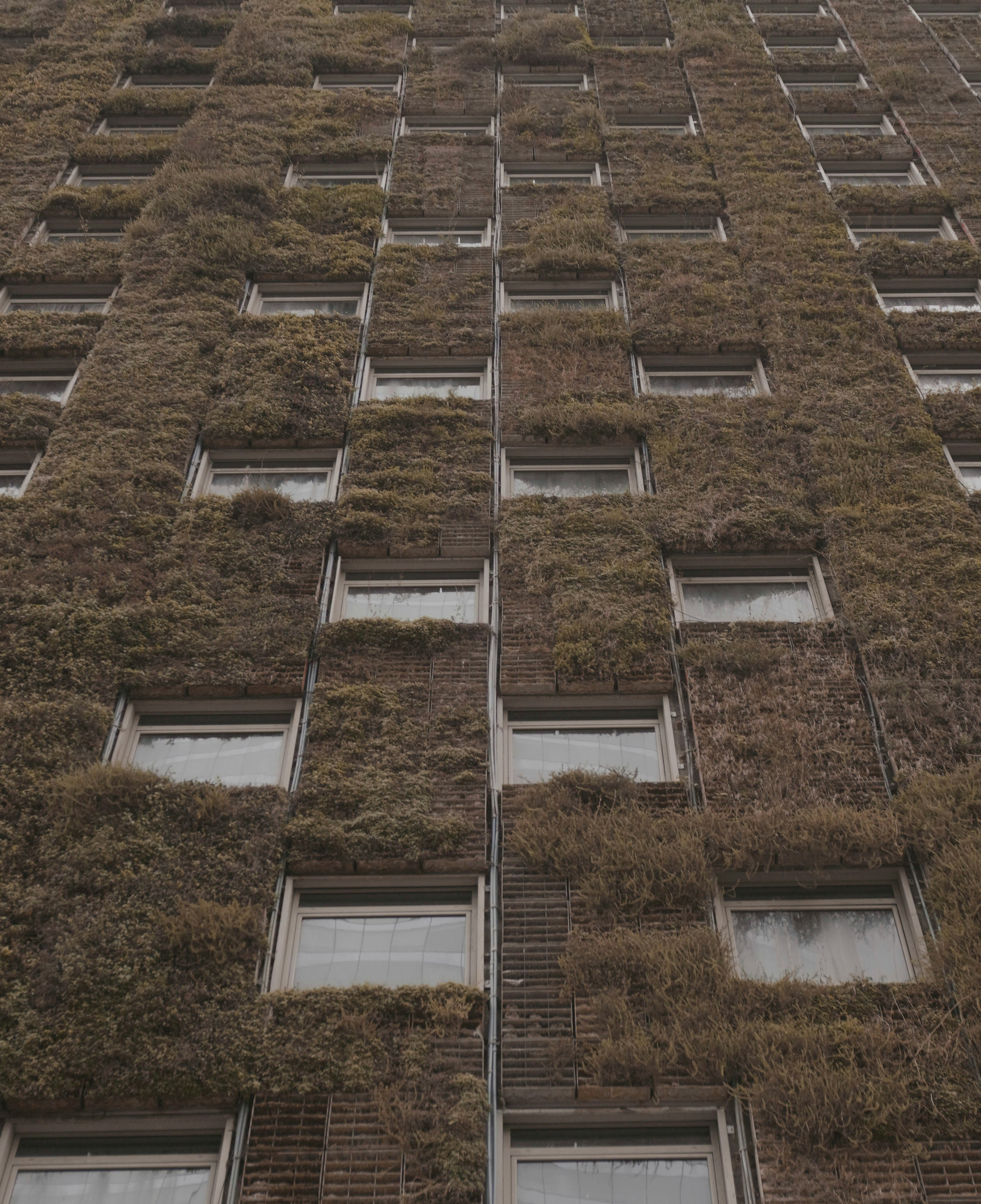 A very tall building with lots of windows