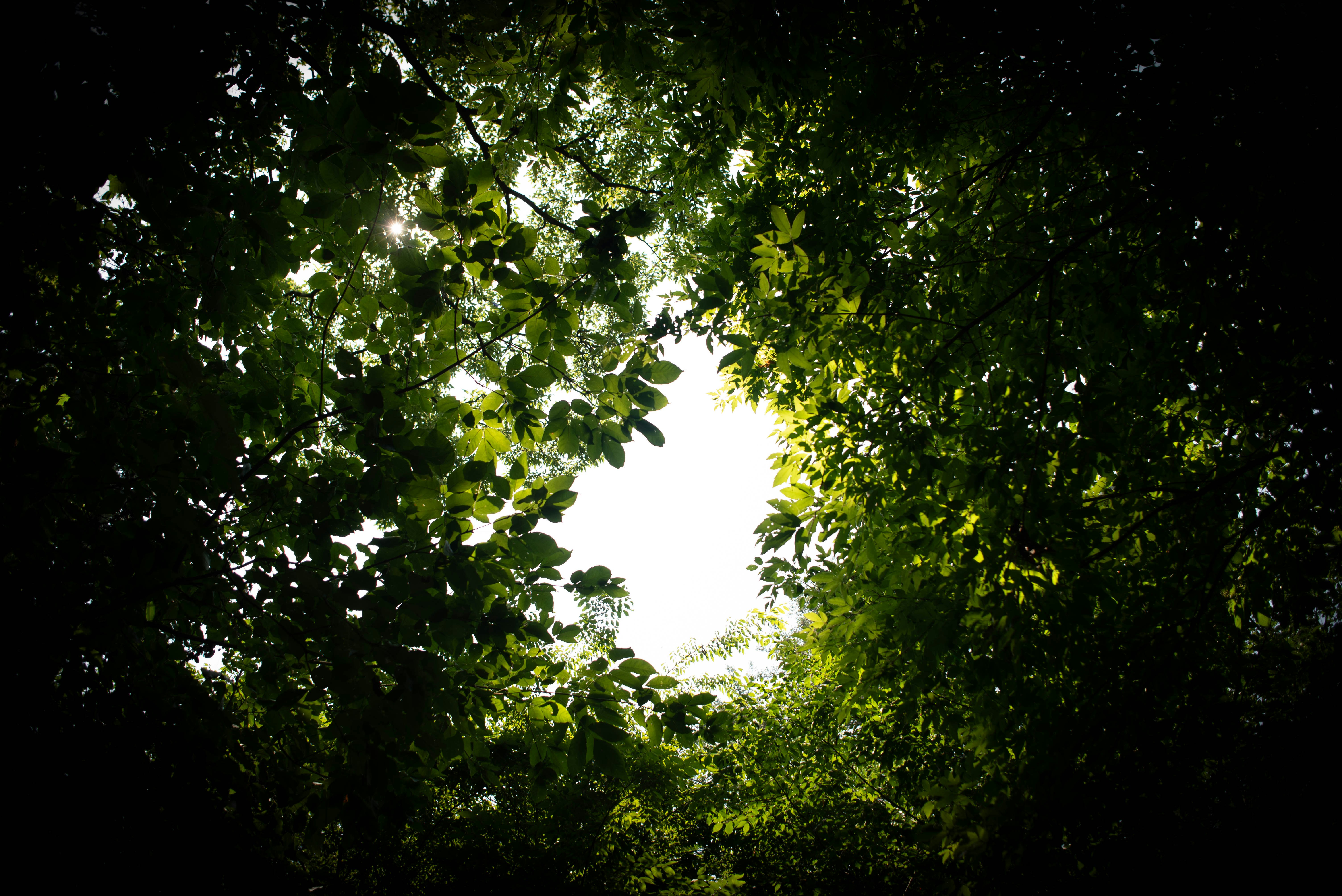 Photo by rays_pickpic