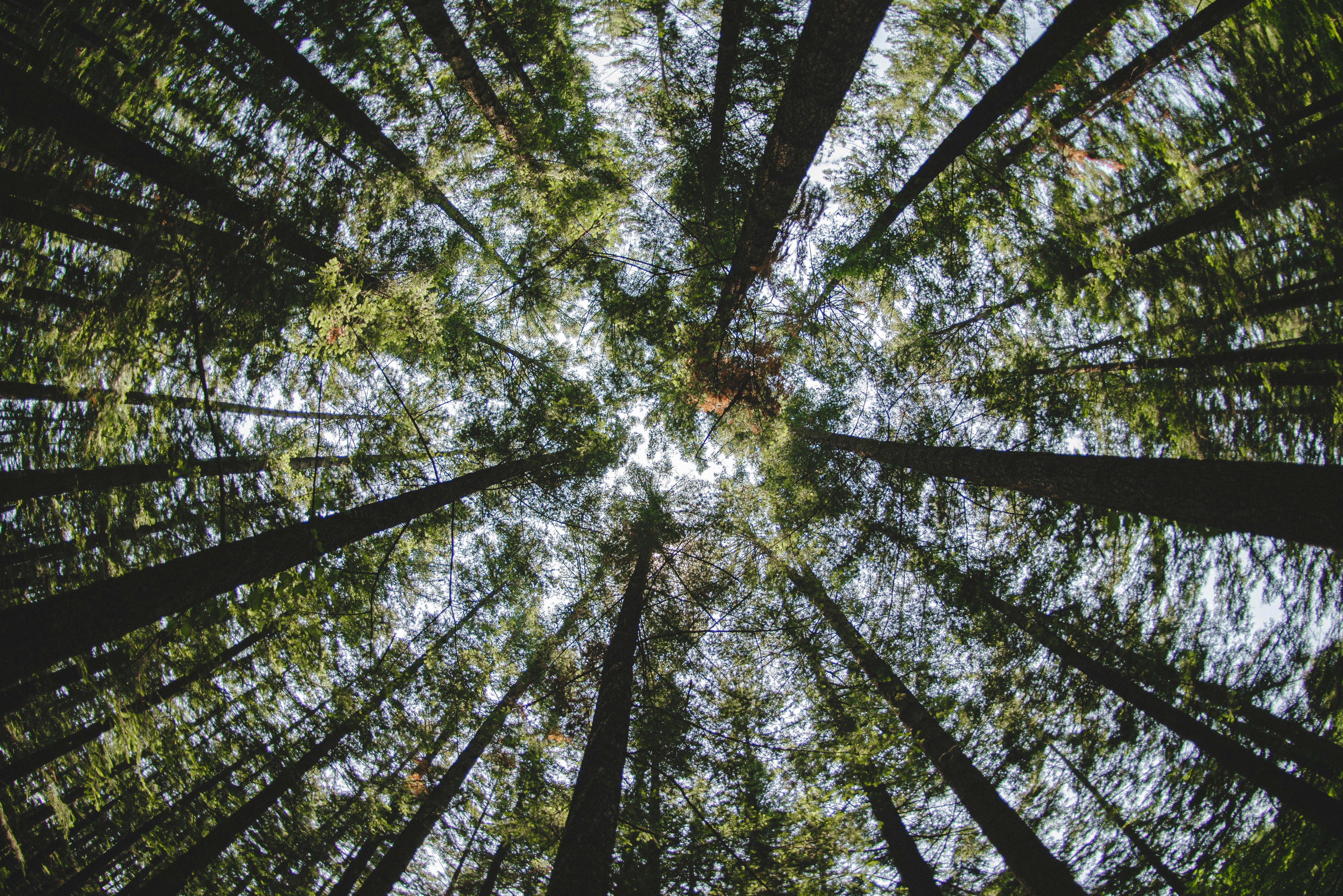 Photo by rays_pickpic