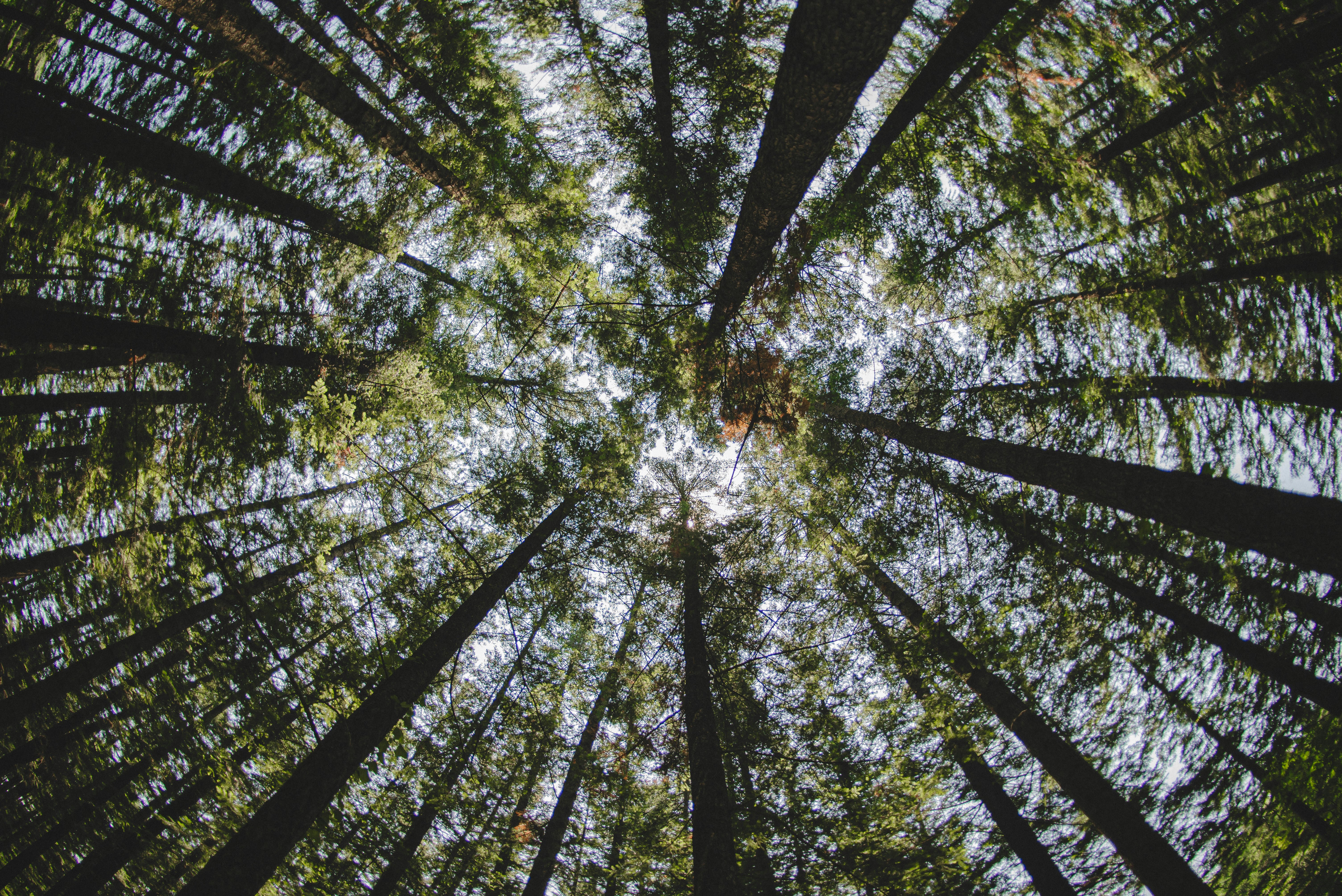 Photo by rays_pickpic