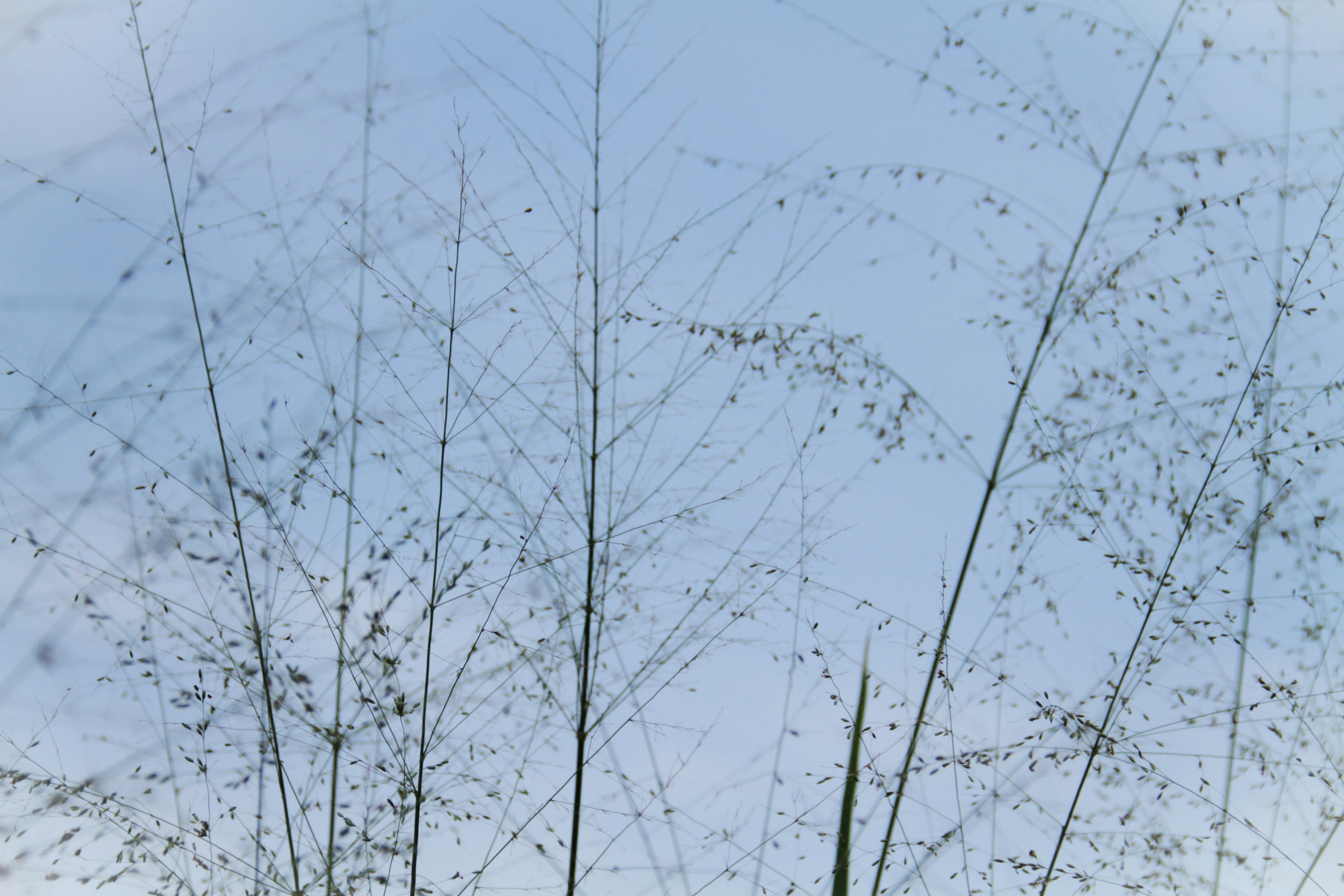 Photo by _shutternymph