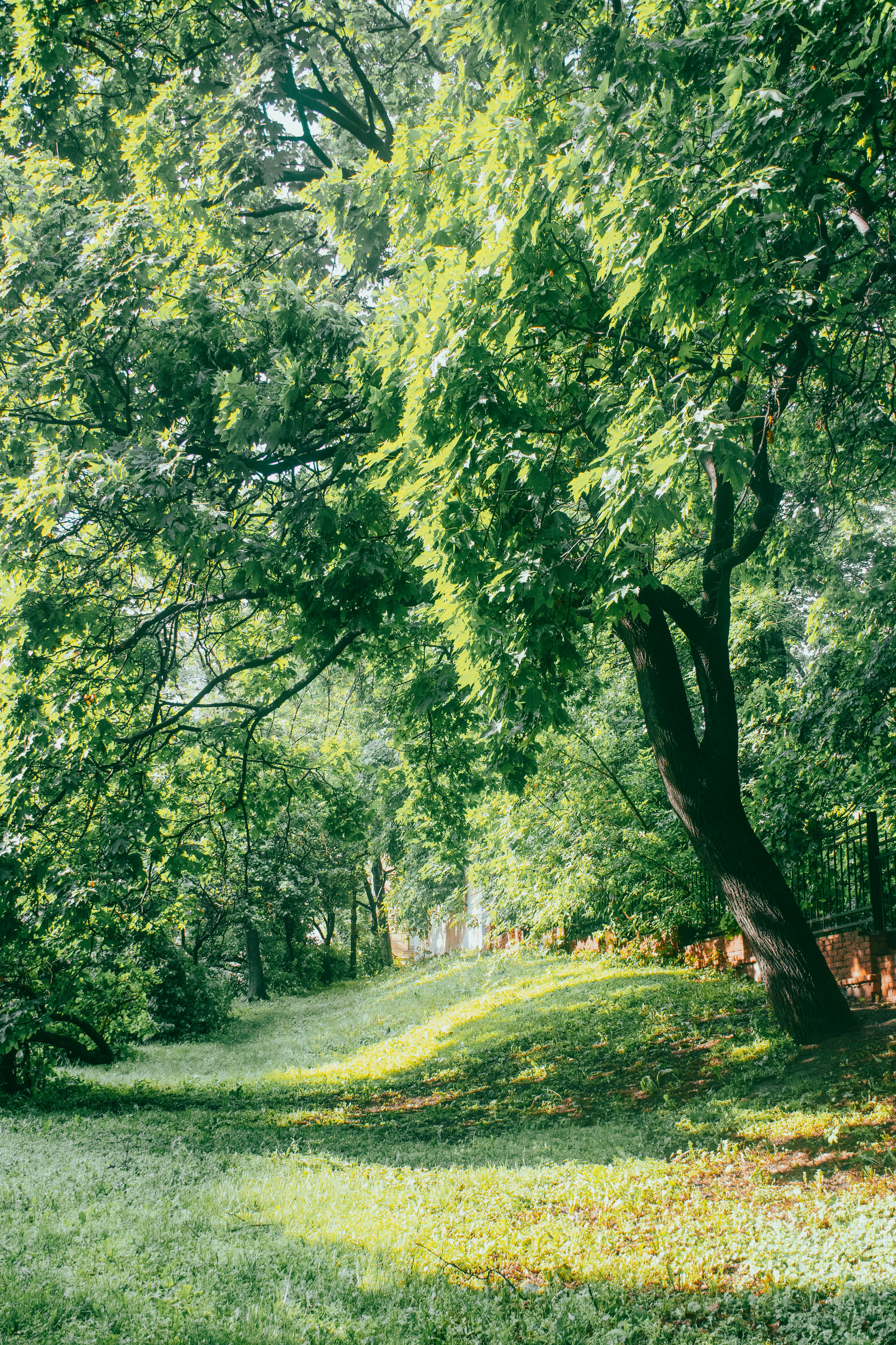 Photo by olga_trishi