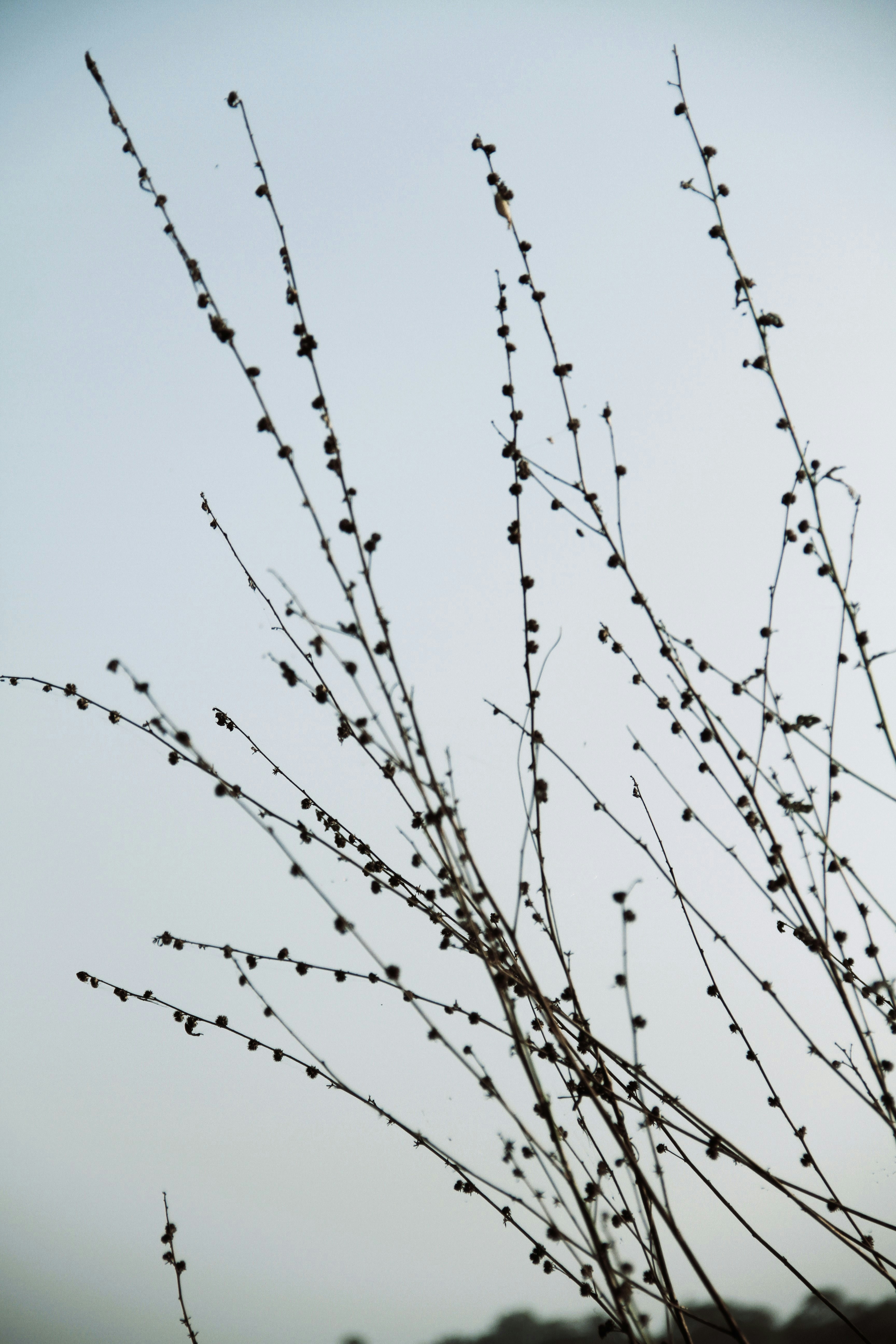 Photo by _shutternymph