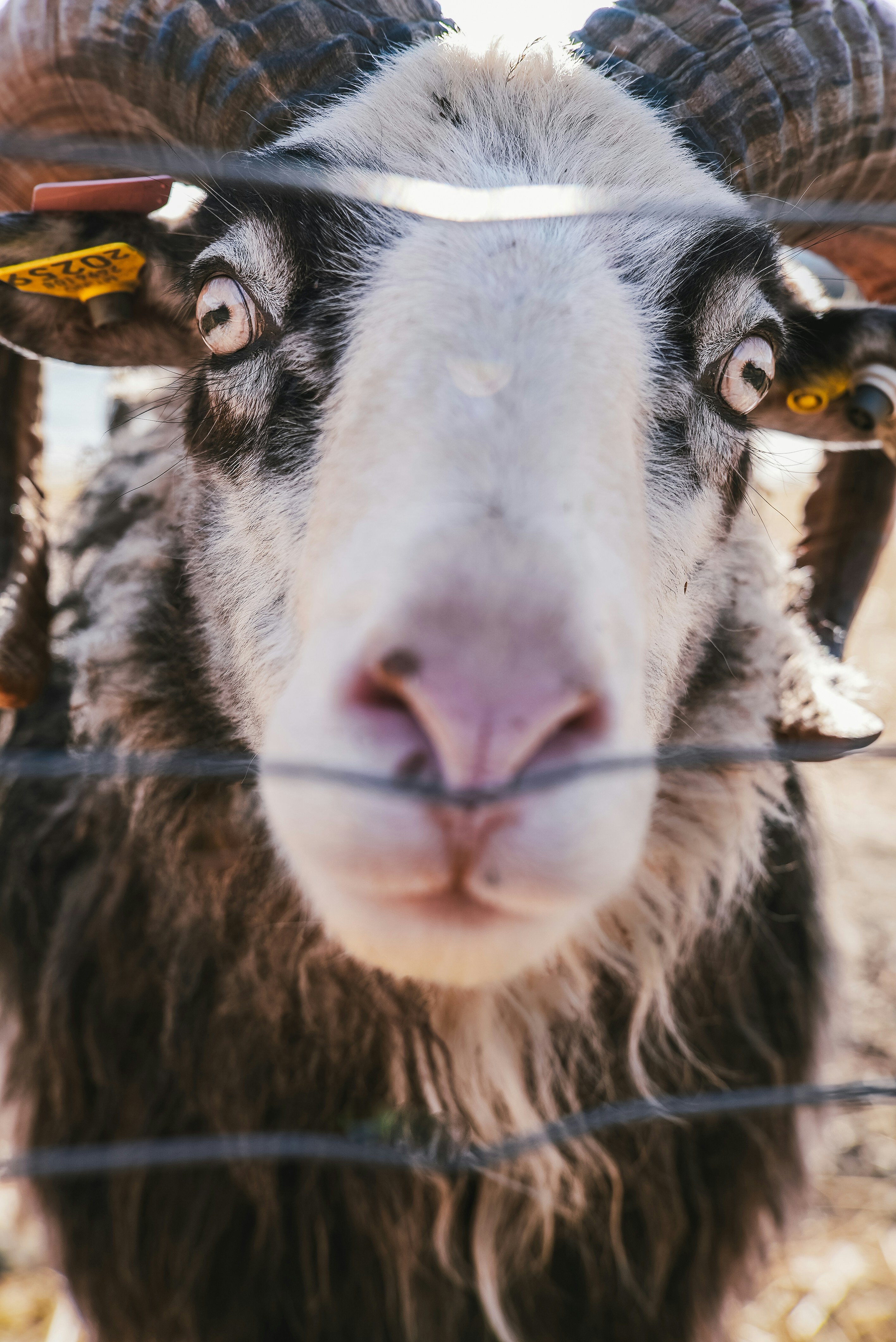 Photo by emlepedersen