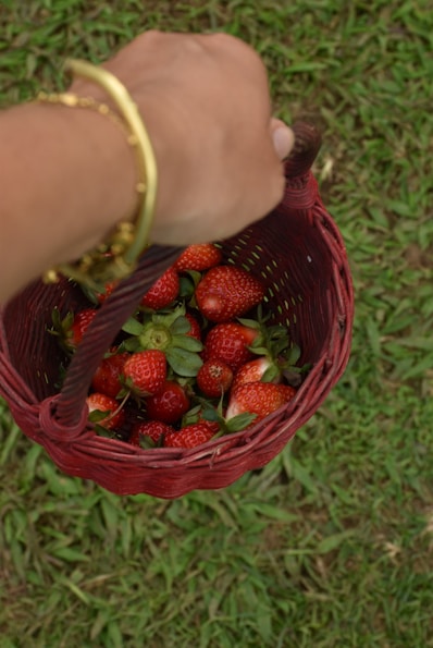 A person holding a basket full of strawberries