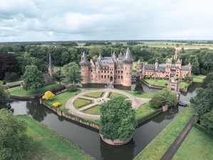 An aerial view of a castle surrounded by trees