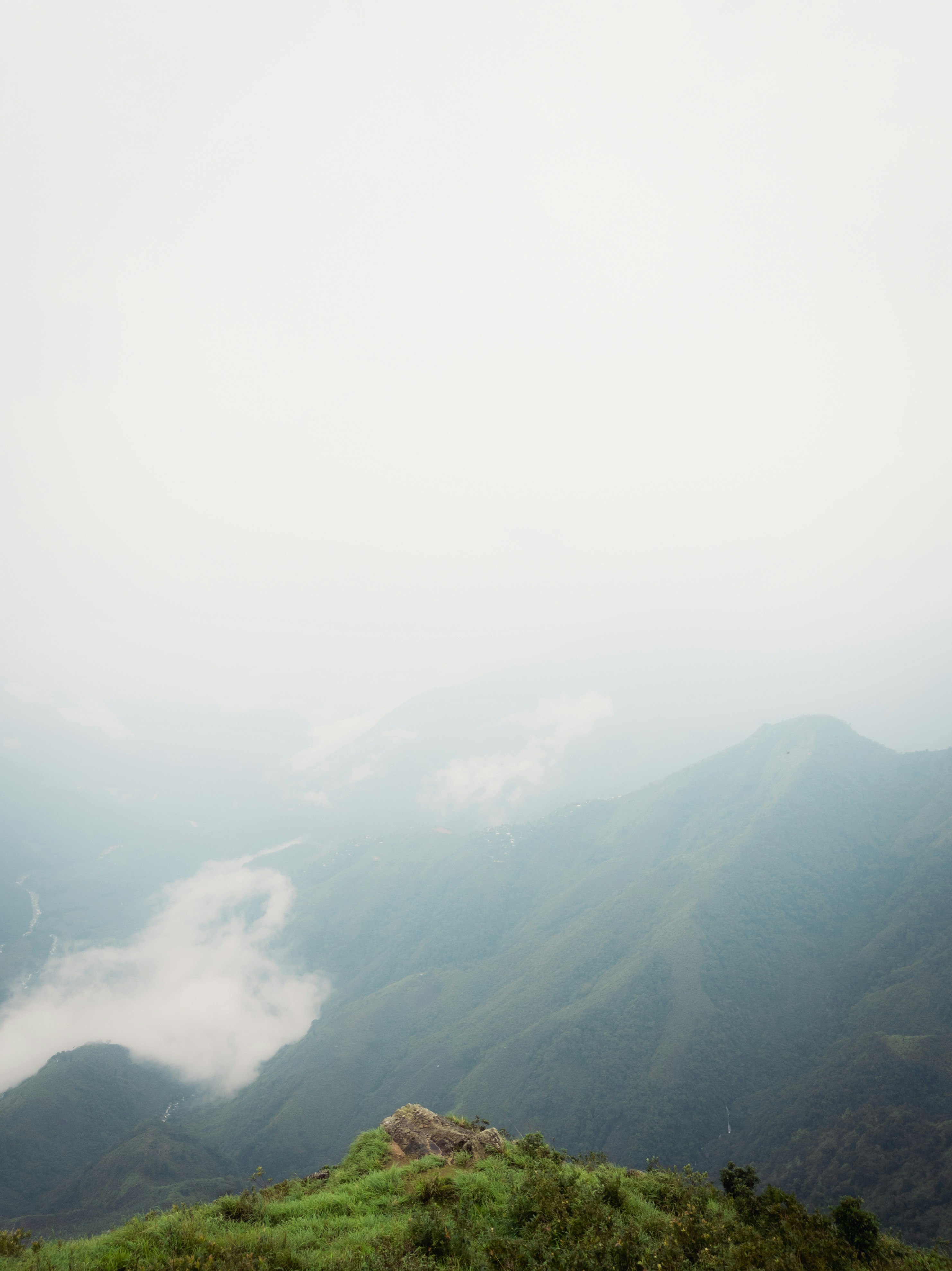 Photo by narzari_bhuban