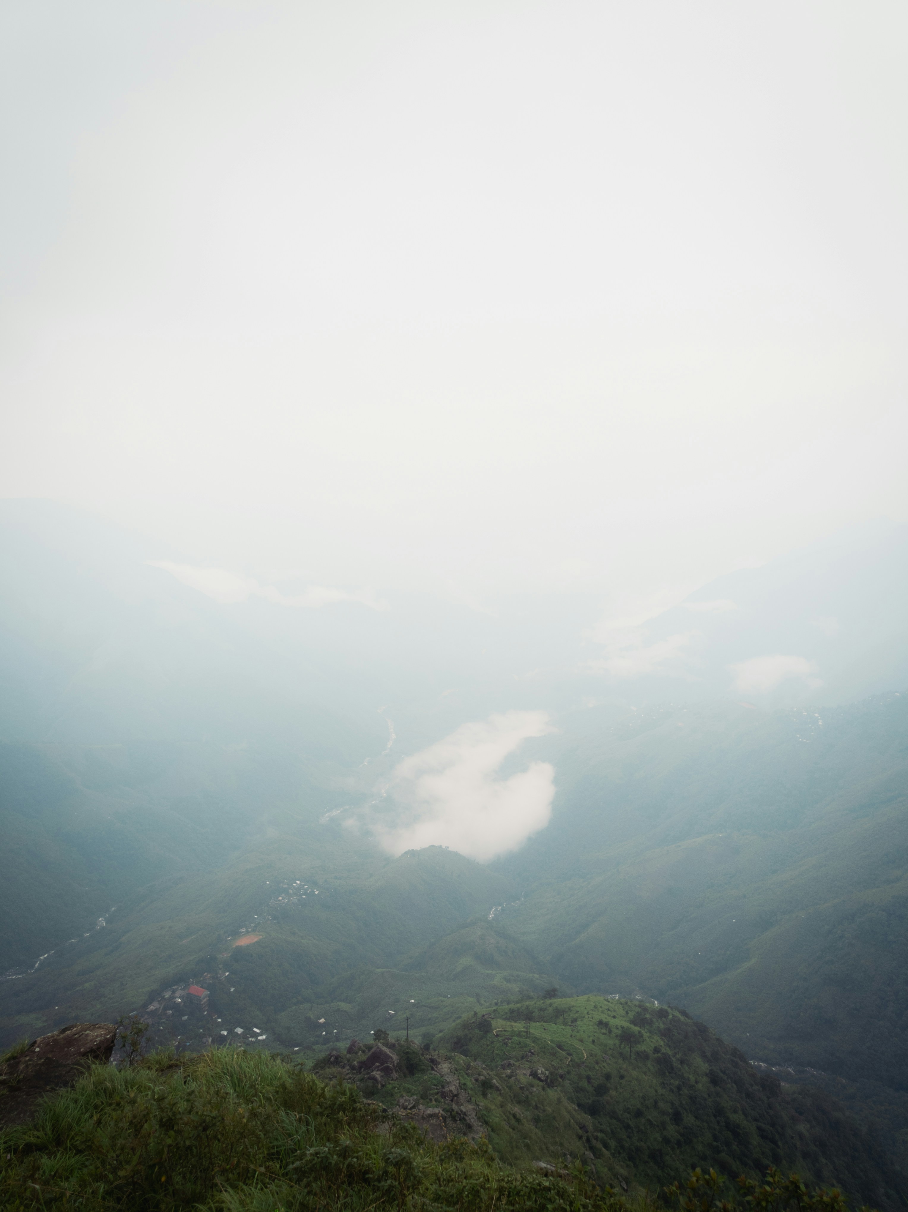 Photo by narzari_bhuban