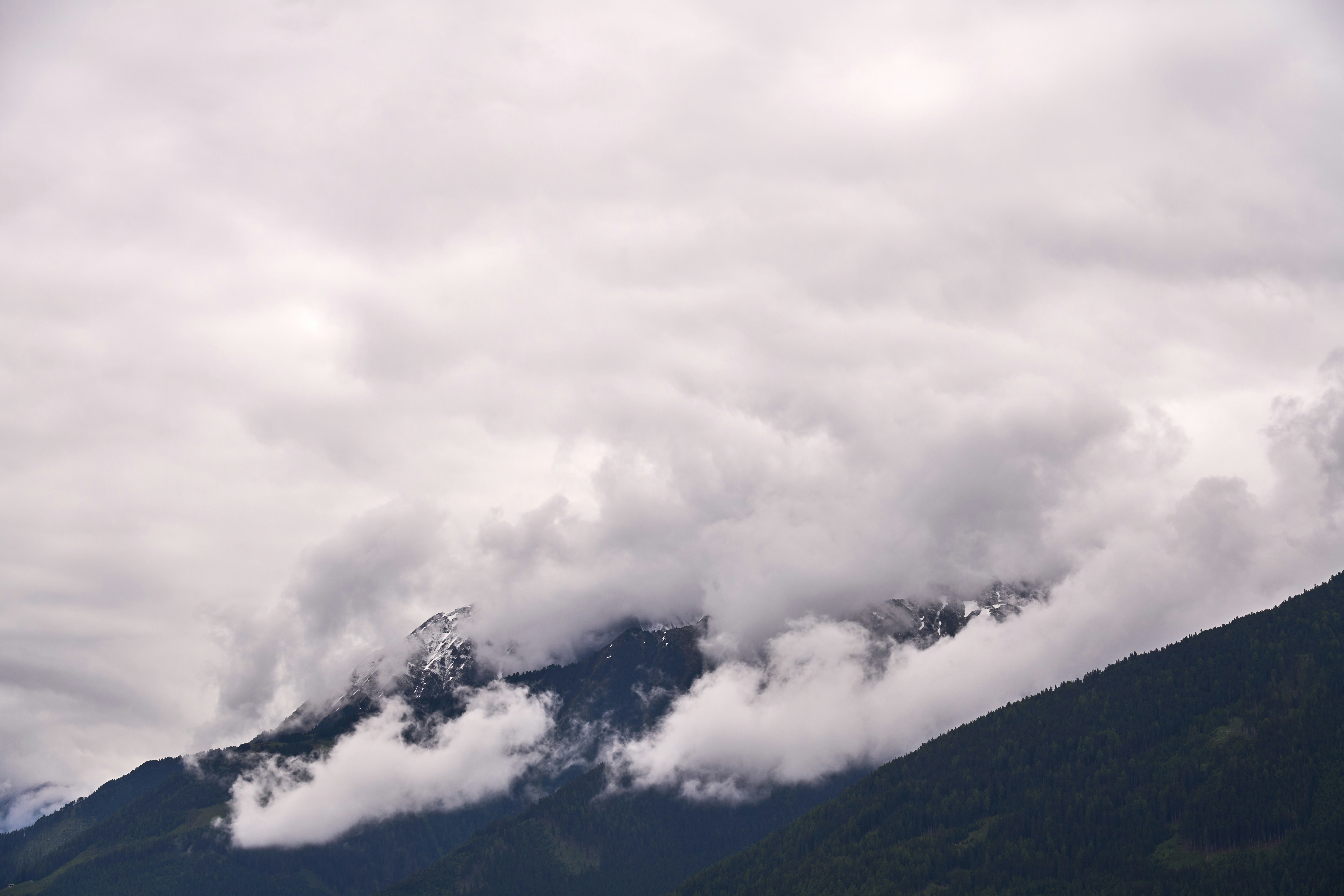 Photo by wolfgang_hasselmann