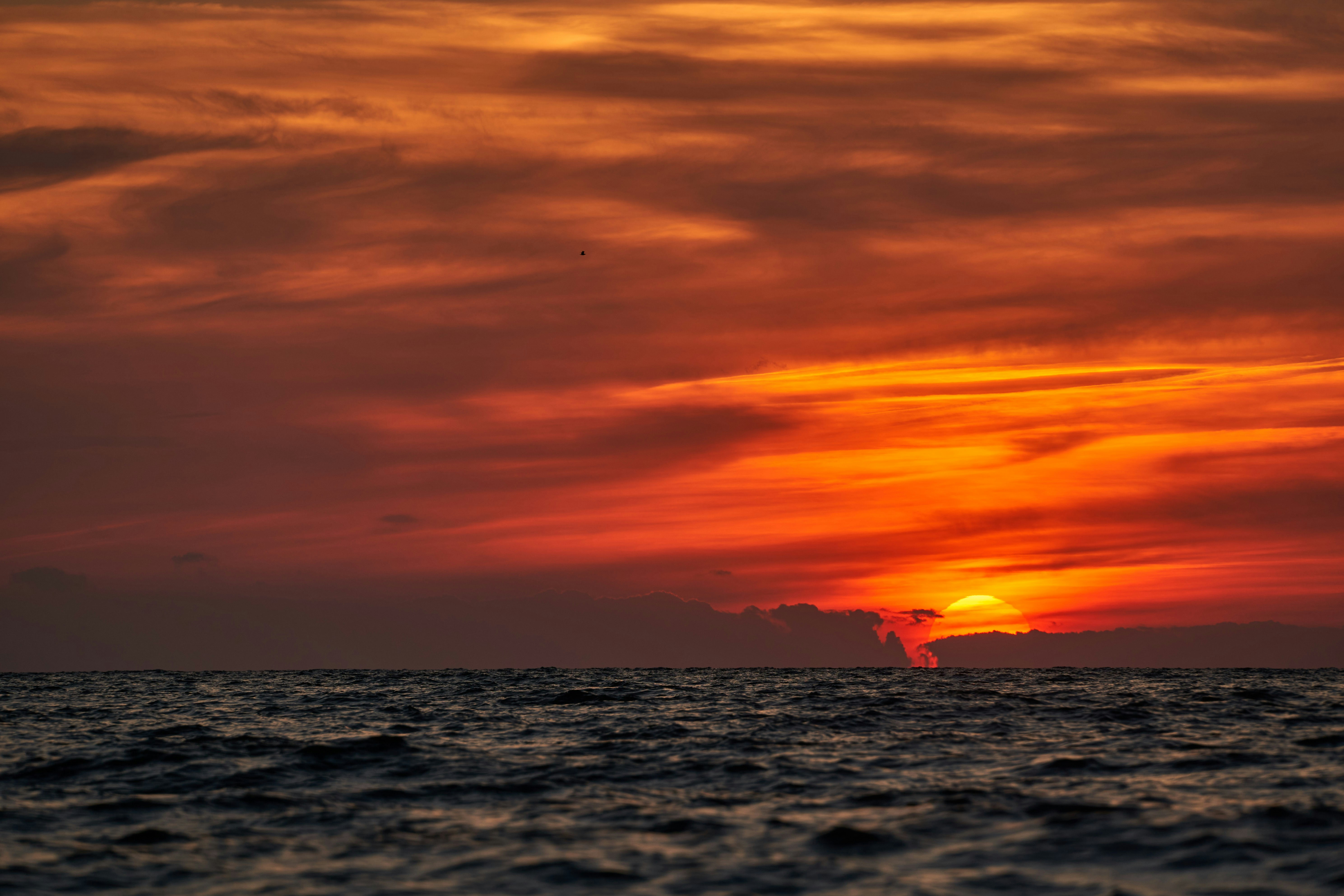 Photo by wolfgang_hasselmann