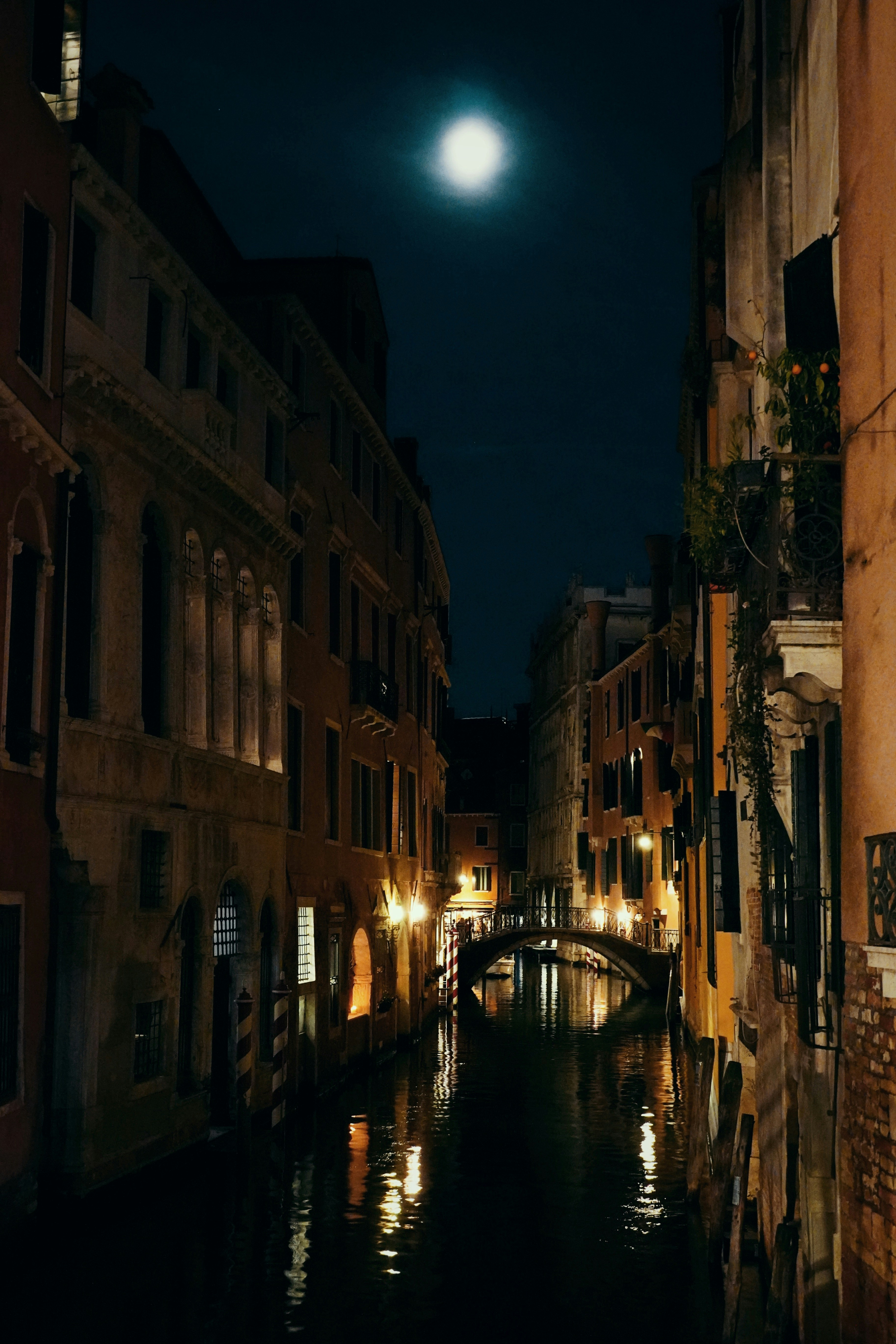 Photo by greenliustudio