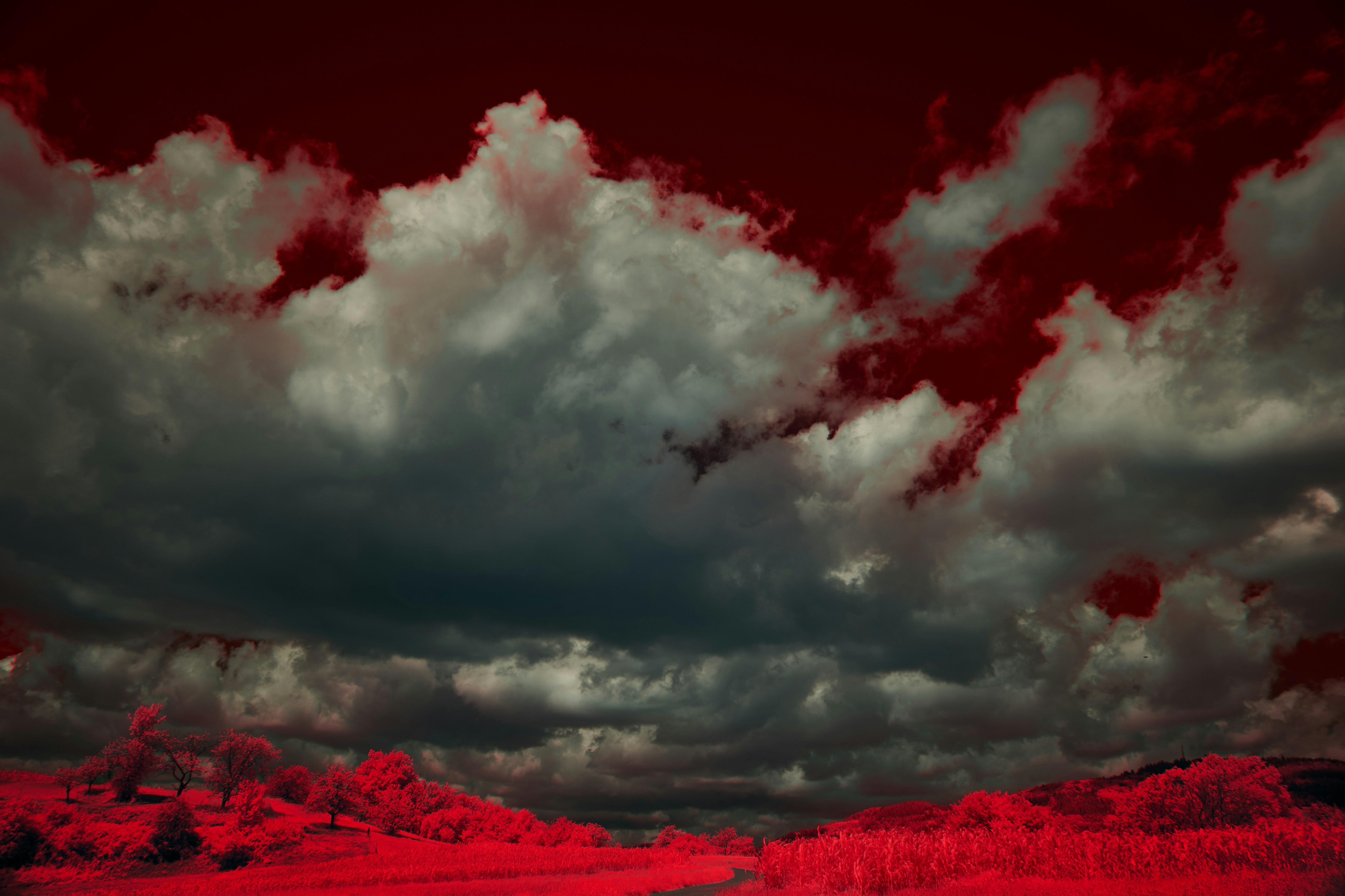 Photo by wolfgang_hasselmann