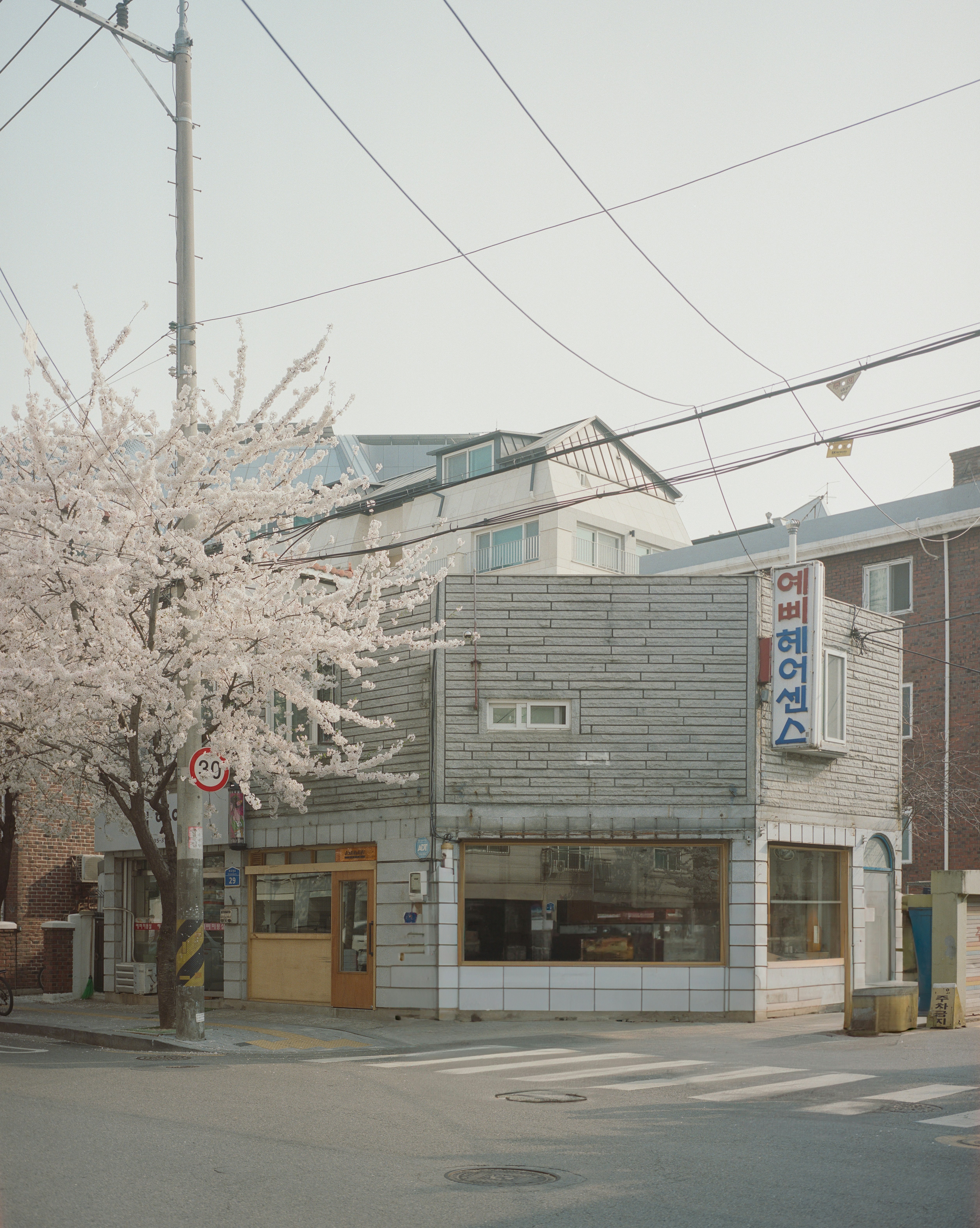 Photo by gongtairoop