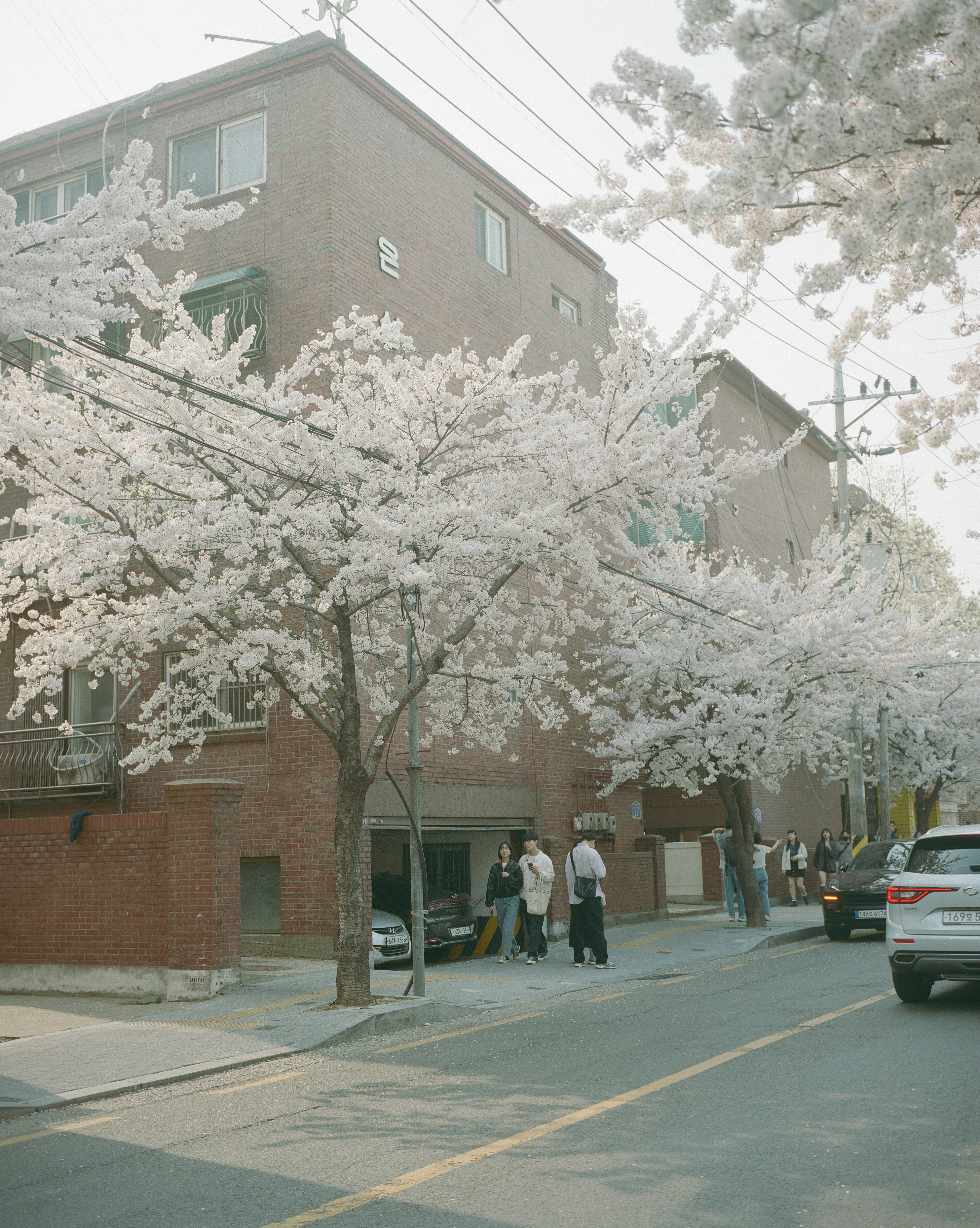 Photo by gongtairoop