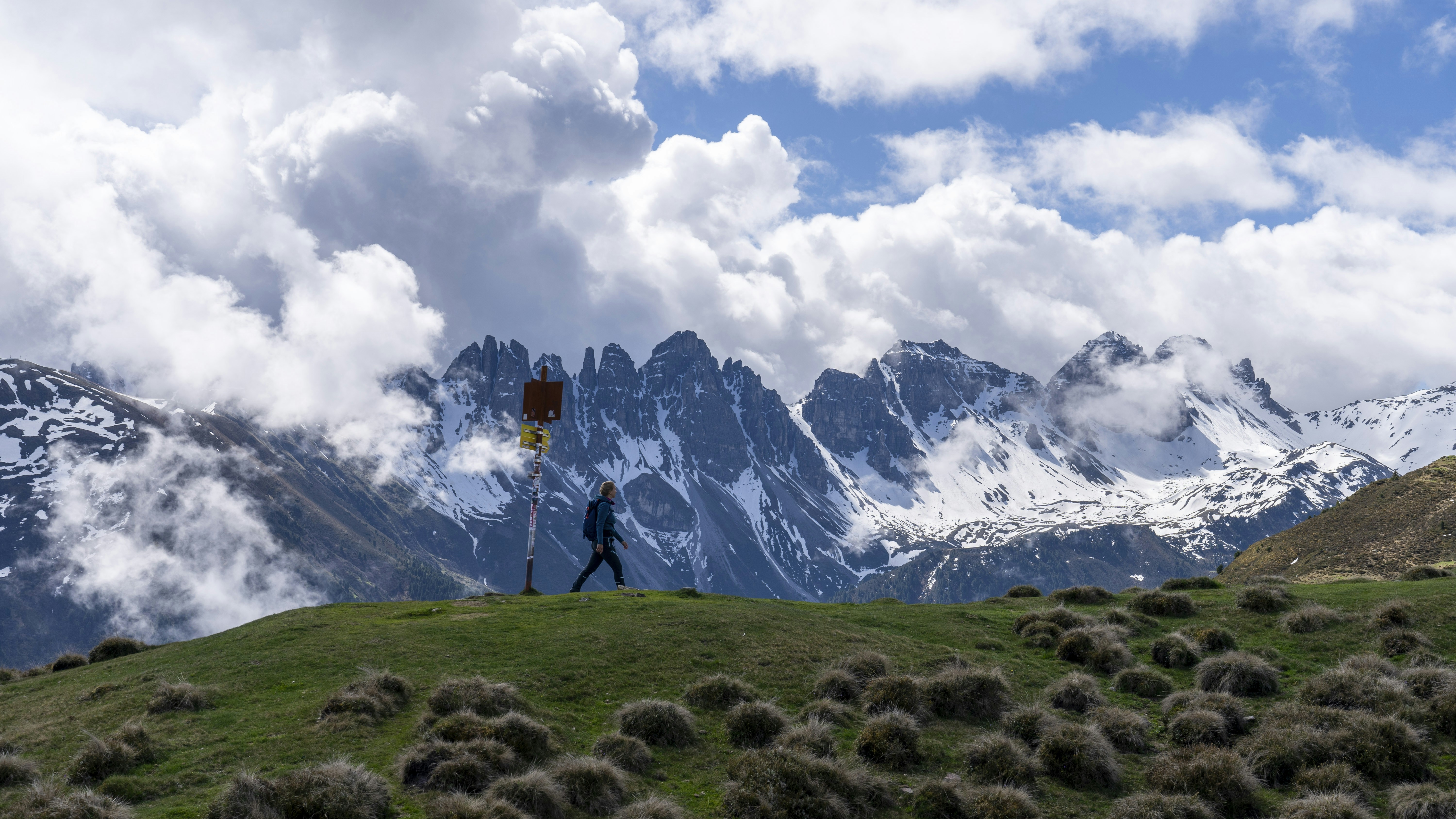 A man standing on top of a lush green hillside
