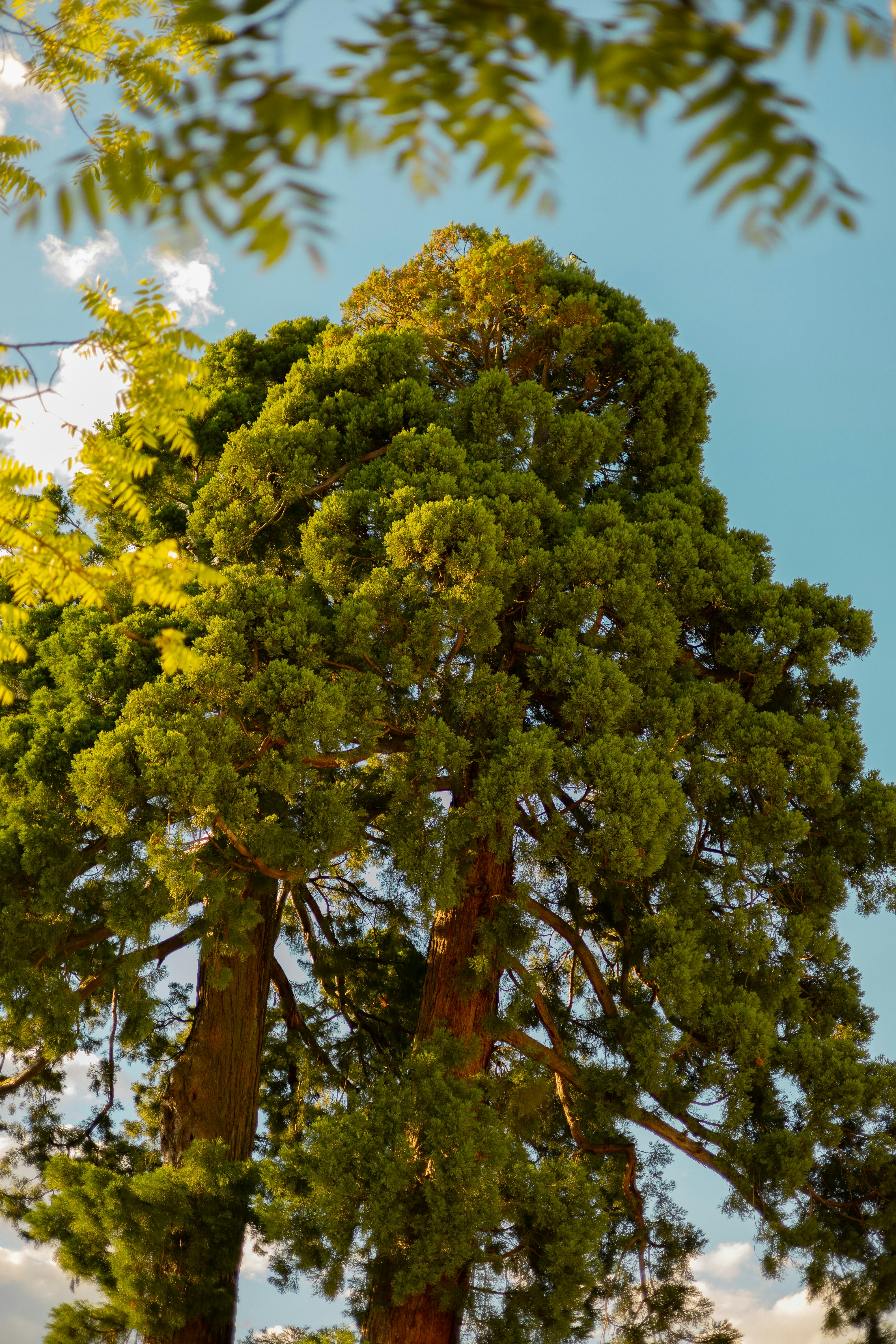 Photo by abkamil2003